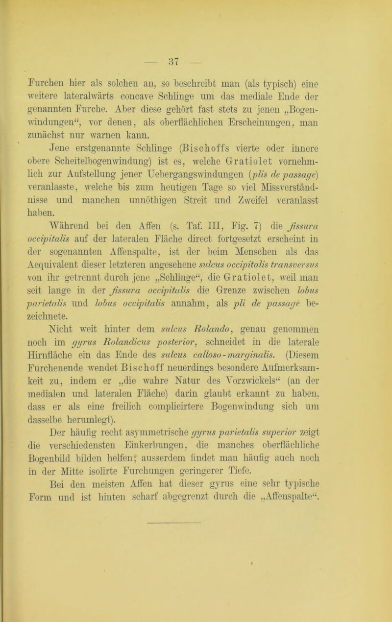 Furchen hier als solchen an, so beschreibt man (als typisch) eine weitere lateralwärts concave Schlinge um das mediale Ende der genannten Furche. Aber diese gehört fast stets zu jenen „Bogen- windungen“, vor denen, als oberflächlichen Erscheinungen, man zunächst nur warnen kann. Jene erstgenannte Schlinge (Bischoffs vierte oder innere obere Scheitelbogenwindung) ist es, welche Gratiolet vornehm- lich zur Aufstellung jener Uebergangswindungen (plis de passaffe) veranlasste, welche bis zum heutigen Tage so viel Missverständ- nisse und manchen unnöthigen Streit und Zweifel veranlasst haben. Während hei den Affen (s. Taf. III, Fig. 7) die fissura occipitalis auf der lateralen Fläche direct fortgesetzt erscheint in der sogenannten Affenspalte, ist der heim Menschen als das Aequivalent dieser letzteren angesehene sulcus occipitalis transversus von ihr getrennt durch jene „Schlinge“, die Gratiolet, weil man seit lange in der ßssura occipitalis die Grenze zwischen lobus parietalis und lobus occipitalis annahm, als pli de passaffe be- zeichnete. Nicht weit hinter dem sulcus Holando, genau genommen noch im ffffrus Rolandicus posterior, schneidet in die laterale Hirnfläche ein das Ende des sulcus calloso-marginalis. (Diesem Furchenende wendet Bischoff neuerdings besondere Aufmerksam- keit zu, indem er „die wahre Natur des Yorzwickels“ (an der medialen und lateralen Fläche) darin glaubt erkannt zu haben, dass er als eine freilich complicirtere Bogenwindung sich um dasselbe herumlegt). Der häufig recht asymmetrische ffffrus parietalis superior zeigt die verschiedensten Einkerbungen, die manches oberflächliche Bogenbild bilden helfen; ausserdem findet man häufig auch noch in der Mitte isolirte Furchungen geringerer Tiefe. Bei den meisten Affen hat dieser gyrus eine sehr typische Form und ist hinten scharf abgegrenzt durch die „Affenspalte“. I