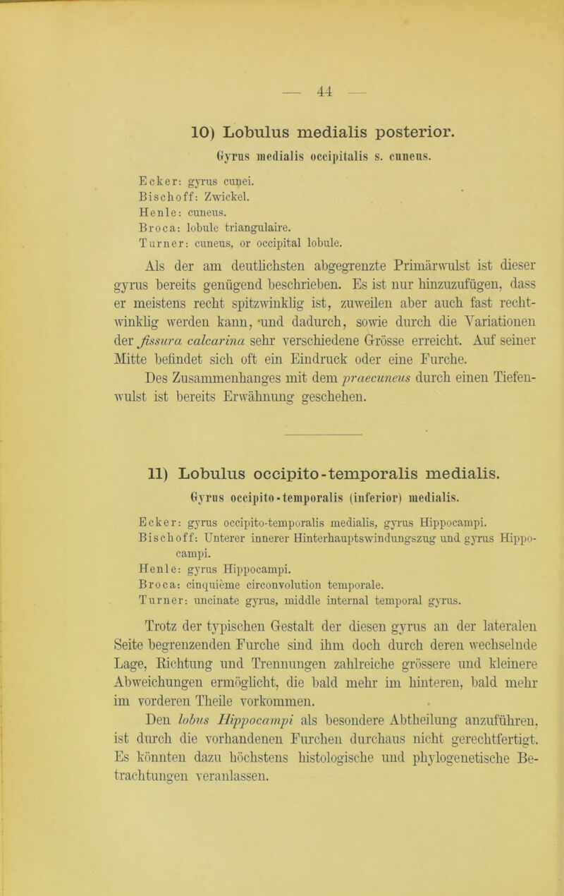 10) Lobulus medialis posterior. Gyrus medialis occipitalis s. cuneus. Ecker: gyrus cuuei. Bisch off: Zwickel. Heule: cuneus. Broca: lobule triangulaire. Turner: cuneus, or occipital lobule. Als der am deutlichsten abgegrenzte Primärwulst ist dieser gyrus bereits genügend beschrieben. Es ist nur hinzuzufügen, dass er meistens recht spitzwinklig ist, zuweilen aber auch fast recht- winklig werden kann, -und dadurch, sowie durch die Variationen der fissura calcarina sehr verschiedene Grösse erreicht. Auf seiner Mitte befindet sich oft ein Eindruck oder eine Furche. Des Zusammenhanges mit dem praecuneus durch einen Tiefen- wulst ist bereits Erwähnung geschehen. 11) Lobulus occipito-temporalis medialis. Gyrus occipito-temporalis (inferior) medialis. Ecker: gyrus occipito-temporalis medialis, gyrus Hippocampi. Bisch off: Unterer innerer Hinterhauptswindungszug und gyrus Hippo- campi. Henle: gyrus Hippocampi. Broca: cinquieme circonvolution temporale. Turner: uncinate gyrus, middle internal temporal gyrus. Trotz der typischen Gestalt der diesen gyrus an der lateralen Seite begrenzenden Furche sind ihm doch durch deren wechselnde Lage, Richtung und Trennungen zahlreiche grössere und kleinere Abweichungen ermöglicht, die bald mehr im hinteren, bald mehr im vorderen Theile Vorkommen. Den lobus Hippocampi als besondere Abtheilung anzuführen, ist durch die vorhandenen Furchen durchaus nicht gerechtfertigt. Es könnten dazu höchstens histologische und phylogenetische Be- trachtungen veranlassen.