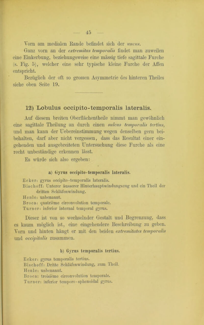 Vorn am medialen Rande befindet sich der uncus. Ganz vorn an der extremitas temporalis findet man zuweilen eine Einkerbung, beziehungsweise eine massig tiefe sagittale Furche (s. Fig. 5), welcher eine sehr typische kleine Furche der Aßen entspricht. Bezüglich der oft so grossen Asymmetrie des hinteren Theiles siehe oben Seite 19. 12) Lobulus occipito-temporalis lateralis. Auf diesem breiten Oberflächentheile nimmt man gewöhnlich eine sagittale Theilung an durch einen sulcus temporalis tertius, und man kann der TJebereinstimmung wegen denselben gern bei- behalten, darf aber nicht vergessen, dass das Resultat einer ein- gehenden und ausgebreiteten Untersuchung diese Furche als eine recht unbeständige erkennen lässt. Es würde sich also ergeben: a) Gyrus occipito-temporalis lateralis. Ecker: gyrus occipito-temporalis lateralis. Bischoff: Unterer äusserer Hinterhauptwindungszug und ein Tlieil der dritten Schläfenwindung. He nie: unbenannt. Broca: quatrieme circonvolution temporale. Turner: inferior internal temporal gyrus. Dieser ist von so wechselnder Gestalt und Begrenzung, dass es kaum möglich ist, eine eingehendere Beschreibung zu geben. Vorn und hinten hängt er mit den beiden extremitates temporalis und occipitalis zusammen. b) Gyrus temporalis tertius. Ecker-, gyrus temporalis tertius. Bischoff: Dritte Schläfenwindung, zum Tlieil. Henle: unbenannt. Broca: troisieme circonvolution temporale. Turner: inferior temporo -sphcnoidal gyrus.
