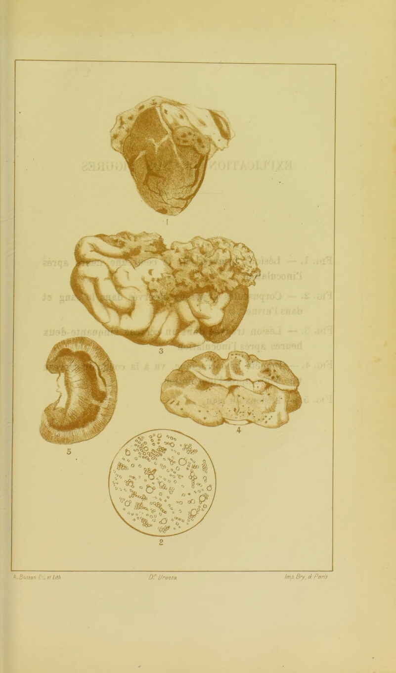 A.Bassan C\..et bth. DC U ru et a fmi Bry, à Paris