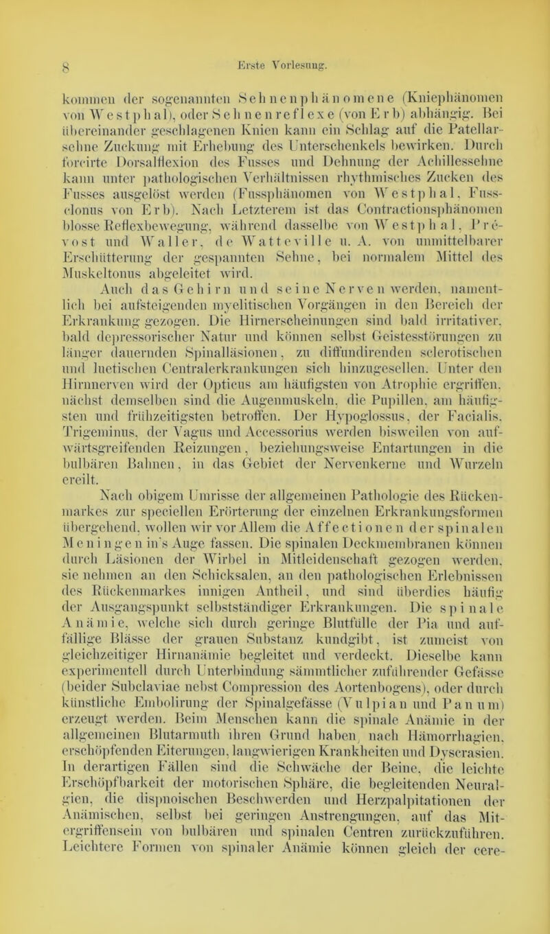 kommen der sogenannten S e li n e n p li ä n o m e n e (Kniephänomen von W e s t p h a 1), oder 8 e li n e n ref 1 ex e (von E r 1)) abhängig. Bei übereinander geschlagenen Knien kann ein Schlag auf die Patellar- seline Zuckung mit Erhebung des Unterschenkels bewirken. Durch forcirte Dorsalflexion des Fusses und Dehnung der Achillessehne kann unter pathologischen Verhältnissen rhythmisches Zucken des Fusses ausgelöst werden (Fussphänomen von Westphal, Fuss- elonus von Erb). Nach Letzterem ist das Contractionsphänomen blosse Reflexbewegung, während dasselbe von Westphal, Pre- vost und Waller, de Watteville u. A. von unmittelbarer Erschütterung der gespannten Sehne, bei normalem Mittel des Muskeltonus abgeleitet wird. Auch das Gehirn und seine Nerven werden, nament- lich hei aufsteigenden myelitischen Vorgängen in den Bereich der Erkrankung gezogen. Die Hirnerscheinungen sind bald irritativer. bald depressorischcr Natur und können seihst Geistesstörungen zu länger dauernden Spinalläsionen, zu diffundirenden sclerotischen und luetischen Centralerkrankungen sich hinzugesellen. Unter den Hirnnerven wird der Opticus am häufigsten von Atrophie ergriffen, nächst demselben sind die Augenmuskeln, die Pupillen, am häufig- sten und frühzeitigsten betroffen. Der Hypoglossus. der Facialis. Trigeminus, der Vagus und Accessorius werden bisweilen von auf- wärtsgreifenden Reizungen, beziehungsweise Entartungen in die bulbären Bahnen, in das Gebiet der Nervenkerne und Wurzeln ereilt. Nach obigem Umrisse der allgemeinen Pathologie des Rücken- markes zur speciellen Erörterung der einzelnen Erkrankungsformen übergehend, wollen wir vor Allem die A ff e cti o n e n d er spin al e n Men ingen in s Auge fassen. Die spinalen Deckmembranen können durch Läsionen der Wirbel in Mitleidenschaft gezogen werden, sie nehmen an den Schicksalen, an den pathologischen Erlebnissen des Rückenmarkes innigen Antheil, und sind überdies häufig der Ausgangspunkt selbstständiger Erkrankungen. Die spinale Anämie, welche sich durch geringe Blutfülle der Pia und auf- fällige Blässe der grauen Substanz kundgibt, ist zumeist von gleichzeitiger Hirnanämie begleitet und verdeckt. Dieselbe kann experimentell durch Unterbindung sänimtlicher zuführender Gefässe (beider Subclaviae nebst Compression des Aortenbogens), oder durch künstliche Embolirung der Spinalgefässe (Vulpian und Pan um) erzeugt werden. Beim Menschen kann die spinale Anämie in der allgemeinen Blutarmuth ihren Grund haben nach Hämorrhagien. erschöpfenden Eiterungen, langwierigen Krankheiten und Dyscrasien. In derartigen Fällen sind die Schwäche der Beine, die leichte Erschöpfbarkeit der motorischen Sphäre, die begleitenden Neural- gien. die dispnoisclien Beschwerden und Herzpalpitationen der Anämischen, seihst bei geringen Anstrengungen, auf das Mit- ergriffensein von bulbären und spinalen Centren zurückzuführen. Leichtere Formen von spinaler Anämie können gleich der cere-