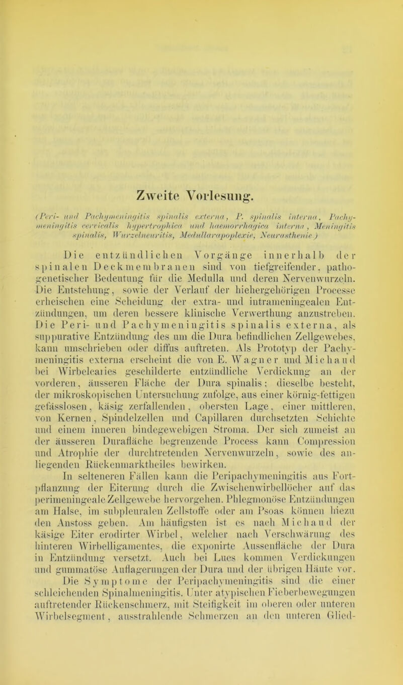 Zweite Vorlesung. (Perl- und Pachymeuingitis spinalis externa, P. spinalis interna, Pachy- meningitis eerticalis hypertrophica und haemorrhagica interna , Meningitis spinalis, Wurzelneuritis, Medullarapoplexie, Neurasthenie.) Die entzündlichen Vorgänge innerhalb der spinalen Deck mein branen sind von tiefgreifender, patho- genetischer Bedeutung für die Medulla und deren Nervenwurzeln. Die Entstehung, sowie der Verlauf der hiehergehörigen Processe erheischen eine Scheidung der extra- und iutrameningealen Ent- zündungen. um deren bessere klinische Venverthung anzustreben. Die Peri- und Pachvmen ingitis spinalis externa, als suppurative Entzündung des um die Dura befindlichen Zellgewebes, kann umschrieben oder diffus auftreten. Als Prototyp der Pachy- meningitis externa erscheint die von E. Wagner und Micha ud bei Wirbelcaiies geschilderte entzündliche Verdickung an der vorderen, äusseren Fläche der Dura spinalis; dieselbe besteht, der mikroskopischen Untersuchung zufolge, aus einer körnig-fettigen getässlosen , käsig zerfallenden , obersten Lage. einer mittleren, von Kernen, Spindelzellen und Capillaren durchsetzten Schichte und einem inneren bindegewebigen Stroma. Der sich zumeist an der äusseren Durafläche begrenzende Process kann Compression und Atrophie der durchtretenden Nervenwurzeln, sowie des an- liegenden Rückenmarktheiles bewirken. In selteneren Fällen kann die Pcripachymeningitis aus Fort- pflanzung der Eiterung durch die Zwischenwirbellöcher auf das perimeningealeZellgewebe hervorgehen. Phlegmonöse Entzündungen am Halse, im subpleuralen Zellstoffe oder am Psoas können hiezu den Anstoss geben. Am häufigsten ist cs nach Michaild der käsige Eiter erodirter Wirbel, welcher nach Verschwärung des hinteren Wirbelligamentes, die exponirte Aussenfläche der Dura in Entzündung versetzt. Auch bei Lues kommen Verdickungen und gummatöse Auflagerungen der Dura und der übrigen Häute vor. Die Symptome der Peripachymeningitis sind die einer schleichenden Spinalmeningitis. Unter atypischen Fieberbewegungen auftretender Rückenschmerz, mit Steifigkeit im oberen oder unteren Wirbelsegment, ausstrahlende Schmerzen an den unteren Glied-