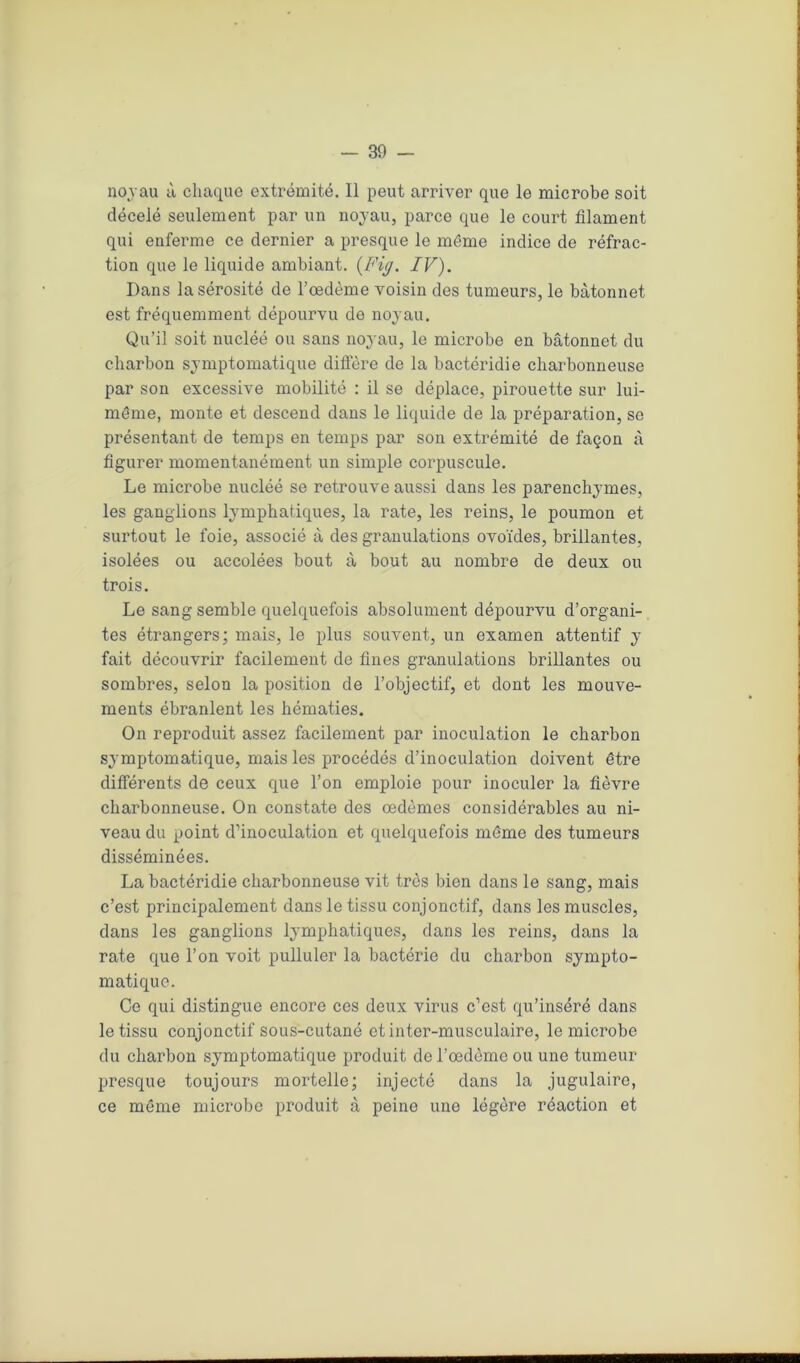 no vau à chaque extrémité. Il peut arriver que le microbe soit décelé seulement par un noyau, parce que le court filament qui enferme ce dernier a presque le même indice de réfrac- tion que le liquide ambiant. {Fig. IV). Dans la sérosité de l’oedème voisin des tumeurs, le bâtonnet est fréquemment dépourvu de noyau. Qu’il soit nucléé ou sans noyau, le microbe en bâtonnet du charbon symptomatique diffère de la bactéridie charbonneuse par son excessive mobilité : il se déplace, pirouette sur lui- même, monte et descend dans le liquide de la préparation, se présentant de temps en temps par son extrémité de façon à figurer momentanément un simple corpuscule. Le microbe nucléé se retrouve aussi dans les parenchymes, les ganglions lymphatiques, la rate, les reins, le poumon et surtout le foie, associé à des granulations ovoïdes, brillantes, isolées ou accolées bout à bout au nombre de deux ou trois. Le sang semble quelquefois absolument dépourvu d’organi- tes étrangers; mais, le plus souvent, un examen attentif y fait découvrir facilement de fines granulations brillantes ou sombres, selon la position de l’objectif, et dont les mouve- ments ébranlent les hématies. On reproduit assez facilement par inoculation le charbon symptomatique, mais les procédés d’inoculation doivent être différents de ceux que l’on emploie pour inoculer la fièvre charbonneuse. On constate des œdèmes considérables au ni- veau du point d’inoculation et quelquefois même des tumeurs disséminées. La bactéridie charbonneuse vit très bien dans le sang, mais c’est principalement dans le tissu conjonctif, dans les muscles, dans les ganglions lymphatiques, dans les reins, dans la rate que l’on voit pulluler la bactérie du charbon sympto- matique. Ce qui distinguo encore ces deux virus c’est qu’inséré dans le tissu conjonctif sous-cutané et inter-musculaire, le microbe du charbon symptomatique produit de l’œdème ou une tumeur presque toujours mortelle; injecté dans la jugulaire, ce même microbe produit à peine une légère réaction et