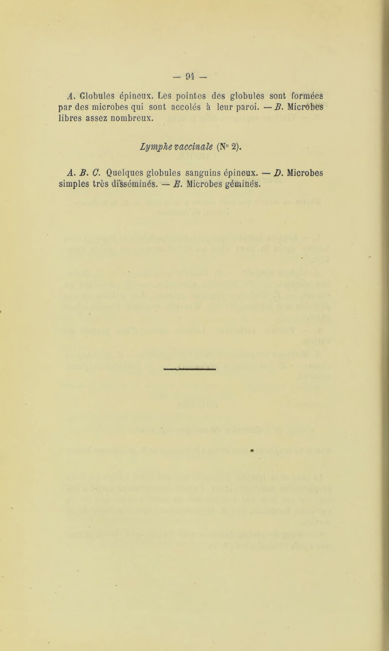 A. Globules épineux. Les pointes des globules sont formées par des microbes qui sont accolés à leur paroi. — B. Microbes libres assez nombreux. Lymphe vaccinale (N° 2). A. B. C. Quelques globules sanguins épineux. — D. Microbes simples très disséminés. — E. Microbes géminés.