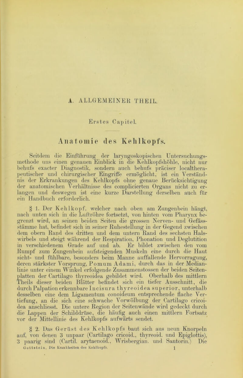 A. ALLGEMEINER TH EIL. Erstes Capitel. Anatomie des Kehlkopfs. Seitdem die Einführung der laryngoskopischen Untersuchungs- methode uns einen genauen Einblick in die Kehlkopfshöhle, nicht nur behufs exacter Diagnostik, sondern auch behufs präciser localthera- peutischer und chirurgischer Eingriffe ermöglicht, ist ein Verständ- nis der Erkrankungen des Kehlkopfs ohne genaue Berücksichtigung der anatomischen Verhältnisse des complicierten Organs nicht zu er- langen und deswegen ist eine kurze Darstellung derselben auch für ein Handbuch erforderlich. § 1. Der Kehlkopf, welcher nach oben am Zungenbein hängt, nach unten sich in die Luftröhre fortsetzt, von hinten vom Pharynx be- grenzt wird, an seinen beiden Seiten die grossen Nerven- und Gefäss- stämrne hat, befindet sich in seiner Ruhestellung in der Gegend zwischen dem obern Rand des dritten und dem untern Rand des sechsten Hals- wirbels und steigt während der Respiration, Phonation und Deglutition in verschiedenem Grade auf und ab. Er bildet zwischen den vom Rumpf zum Zungenbein aufsteigenden Muskeln eine durch die Haut sicht- und fühlbare, besonders beim Manne auffallende Hervorragung, deren stärkster Vorsprung, Pomum Adami, durch das in der Median- linie unter einem Winkel erfolgende Zusammenstossen der beiden Seiten- nlatten der Cartilago thyreoidea gebildet wird. Oberhalb des mittlern Theils dieser beiden Blätter befindet sich ein tiefer Ausschnitt, die durch Palpation erkennbare Incisura thyreoidea superior, unterhalb desselben eine dem Ligamentum conoideum entsprechende flache Ver- tiefung, an die sich eine schwache Vorwölbung der Cartilago cricoi- dea anschliesst. Die untere Region der Seitenwände wird gedeckt durch die Lappen der Schilddrüse, die häufig auch einen mittlern Fortsatz vor der Mittellinie des Kehlkopfs aufwärts sendet. § 2. Das Gerüst des Kehlkopfs baut sich aus neun Knorpeln auf, von denen 3 unpaar (Cartilago cricoid., thyreoid. und Epiglottis), 3 paarig sind (Cartil. arytaenoid., Wrisbergian. und Santorm.) Die