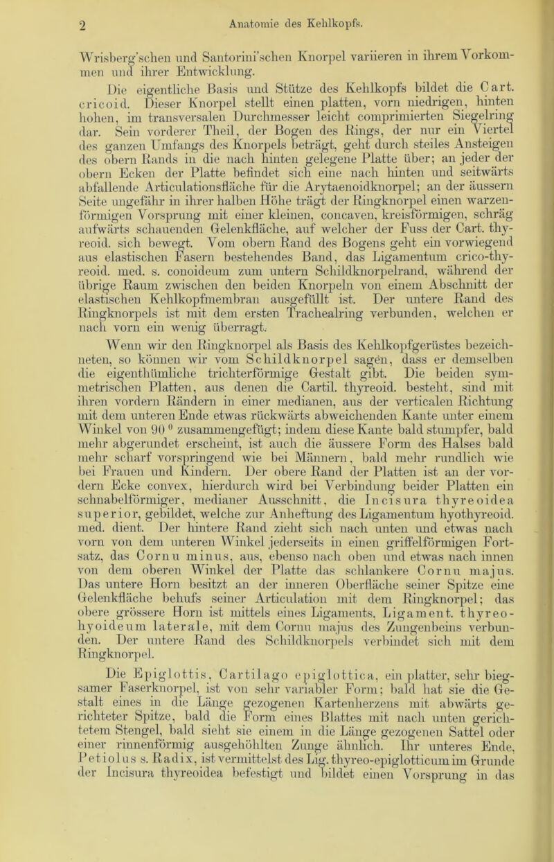 Wrisberg’schen und Santorim sehen Knorpel variieren in ihrem Vorkom- men und ihrer Entwicklung. Die eigentliche Basis und Stütze des Kehlkopfs bildet die Cart. cricoid. Dieser Knorpel stellt einen platten, vorn niedrigen, hinten hohen, im transversalen Durchmesser leicht comprimierten Siegelring dar. Sein vorderer Theil, der Bogen des Rings, der nur ein viertel des ganzen Umfangs des Knorpels beträgt, geht durch steiles Ansteigen des obern Rands in die nach hinten gelegene Platte über; an jeder der obern Ecken der Platte befindet sich eine nach hinten und seitwärts abfallende Articulationsfläche für die Arytaenoidknorpel; an der äussern Seite ungefähr in ihrer halben Höhe trägt der Ringknorpel einen warzen- förmigen Vorsprung mit einer kleinen, concaven, kreisförmigen, schräg aufwärts schauenden Gelenkfläche, auf welcher der Fuss der Cart. thy- reoid. sich bewegt. Vom obern Rand des Bogens geht ein vorwiegend aus elastischen Fasern bestehendes Band, das Ligamentum crico-thy- reoid. med. s. conoideum zum untern Schildknorpelrand, während der übrige Raum zwischen den beiden Knorpeln von einem Abschnitt der elastischen Kehlkopfmembran ausgefüllt ist. Der untere Rand des Ringknorpels ist mit dem ersten Trackealring verbunden, welchen er nach vorn ein wenig überragt. Wenn wir den Ringknorpel als Basis des Kehlkopfgerüstes bezeich- neten, so können wir vom Schildknorpel sagen, dass er demselben die eigenthümliche trichterförmige Gestalt gibt. Die beiden sym- metrischen Platten, aus denen die Cartil. thyreoid. besteht, sind mit ihren vordem Rändern in einer medianen, aus der verticalen Richtung mit dem unteren Ende etwas rückwärts abweichenden Kante unter einem Winkel von 90 0 zusammengefügt; indem diese Kante bald stumpfer, bald mehr abgerundet erscheint, ist auch die äussere Form des Halses bald mehr scharf vorspringend wie bei Männern, bald mehr rundlich wie bei Frauen und Kindern. Der obere Rand der Platten ist an der vor- dem Ecke convex, hierdurch wird bei Verbindung beider Platten ein schnabelförmiger, medianer Ausschnitt. die Incisura thyreoidea superior, gebildet, welche zur Anheftung des Ligamentum hyothyreoid. med. dient. Der hintere Rand zieht sich nach unten und etwas nach vorn von dem unteren Winkel jederseits in einen griffelförmigen Fort- satz, das Cornu minus, aus, ebenso nach oben und etwas nach innen von dem oberen Winkel der Platte das schlankere Cornu majus. Das untere Horn besitzt an der inneren Oberfläche seiner Spitze eine Gelenkfläche behufs seiner Articulation mit dem Ringknorpel; das obere grössere Horn ist mittels eines Ligaments, Ligament, thyreo- hyoideum laterale, mit dem Cornu majus des Zungenbeins verbun- den. Der untere Rand des Schildknorpels verbindet sich mit dem Ringknorpel. Die Epiglottis, Cartilago epiglottica, ein platter, sehr bieg- samer Faserknorpel, ist von sehr variabler Form; bald hat sie die Ge- stalt eines in die Länge gezogenen Kartenherzens mit abwärts ge- richteter Spitze, bald die Form eines Blattes mit nach unten gerich- tetem Stengel, bald sieht sie einem in die Länge gezogenen Sattel oder einer rinnenförmig ausgehöhlten Zunge ähnlich. Ihr unteres Ende, Petioluss. Radix, ist vermittelst des Lig.thyreo-epiglotticumim Grunde der Incisura thyreoidea befestigt und bildet einen Vorsprung in das