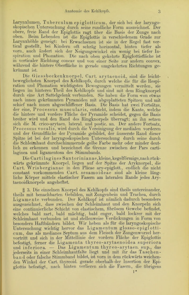 Larynxlumen, Tuberculum epiglotticum, der sich bei der laryngo- skopisclien Untersuchung durch seine rundliche Form auszeichnet. Der obere, freie Rand der Epiglottis ragt über die Basis der Zunge nach oben. Beim Lebenden ist die Epiglottis in verschiedenem Grade zur Larvnxhöhle geneigt: bei Erwachsenen ist sie in der Regel fast ver- tical gestellt, bei Kindern oft schräg horizontal, hinten tiefer als vorn, auch ändert sich der Neigungswinkel ein wenig bei tiefer In- spiration und Phonation. Die nach oben gekehrte Epiglottisfläche ist in verticaler Richtung concav und von einer Seite zur andern convex, während die hintere Oberfläche in gerade umgekehrten Richtungen ge- krümmt ist. Die Giessbeckenknorpel, Gart, arytaenoid., sind die leicht- beweglichsten Knorpel des Kehlkopfs, durch welche die für die Respi- ration und Phonation wichtigsten Bewegungen vermittelt werden, sie liegen im hinteren Theü des Kehlkopfs und sind mit dem Ringknorpel durch eine Art Sattelgelenk verbunden. Sie haben die Form *von etwas nach innen gekrümmten Pyramiden mit abgeplatteten Spitzen und mit schief nach innen abgeschnffener Basis. Die Basis hat zwei Fortsätze, der eine, Processus muscularis, entsteht, indem die Kante, welche die hintere und vordere Fläche der Pyramide scheidet, gegen die Basis breiter wird und den Rand des Ringknorpels überragt; an ihn setzen sich die M. crico-arytaen. lateral, und postic. an. Der andere Fortsatz, Processus vocalis, wird durch die Vereinigung der medialen vorderen und der Grundfläche der Pyramide gebildet, der äusserste Rand dieser Spitze ist bei der laryngoskopischen Untersuchung durch seine durch die Schleimhaut durchschimmernde gelbe Farbe mehr oder minder deut- lich zu erkennen und bezeichnet die Grenze zwischen der Pars carti- laginea und ligamentosa des Stimmbands. Die C a r t i 1 a g i n e s S a n t o r i n i a n a e, kleine, kegelförmige, nach rück- wärts gekrümmte Knorpel, liegen auf der Spitze der Aryknorpel, die C a r t. Wrisbergianae in den Plicae ary-epiglott.. endlich die nicht constant vorkommenden Gart, sesamoideae sind als kleine läng- liche Körper mittels elastischer Fasern am lateralen Rande jedes Ary- taenoidknorpels angeheftet. § 3. Die einzelnen Knorpel des Kehlkopfs sind theils untereinander, theils mit benachbarten Gebilden, mit Zungenbein und Trachea, durch Ligamente verbunden. Der Kehlkopf ist nämlich dadurch besonders ausgezeichnet, dass zwischen der Schleimhaut und .den Knorpeln sich eine continuierliche Schicht von elastischem, fibrösem Gewebe befindet, welches bald zart, bald mächtig, bald enger, bald lockrer mit der Schleimhaut verbunden ist und stellenweise Verdickungen in Form von besondern Haftbändern bildet. Wir heben als für die laryngoskopische Untersuchung wichtig hervor das Ligamentum glosso-epiglotti- cum, das als medianes Septum aus dem Fleisch der Zungenwurzel her- vortritt und sich in der Mittellinie der vordem Fläche der Epiglottis befestigt, ferner die Ligamenta thyreo-arytaenoidea superiora und inferiora. — Das Ligamentum thyreo-arytaen. sup., das jederseits in einer Schleimhautfalte liegt und mit ihr das Taschen- ln a n d oder falsche Stimmband bildet, ist vorn in dem rückwärts weichen- den Winkel der Gart, thyreoid. gerade oberhalb der Insertion der Epi- glottis befestigt, nach hinten verlieren sich die Fasern, die übrigens 1*