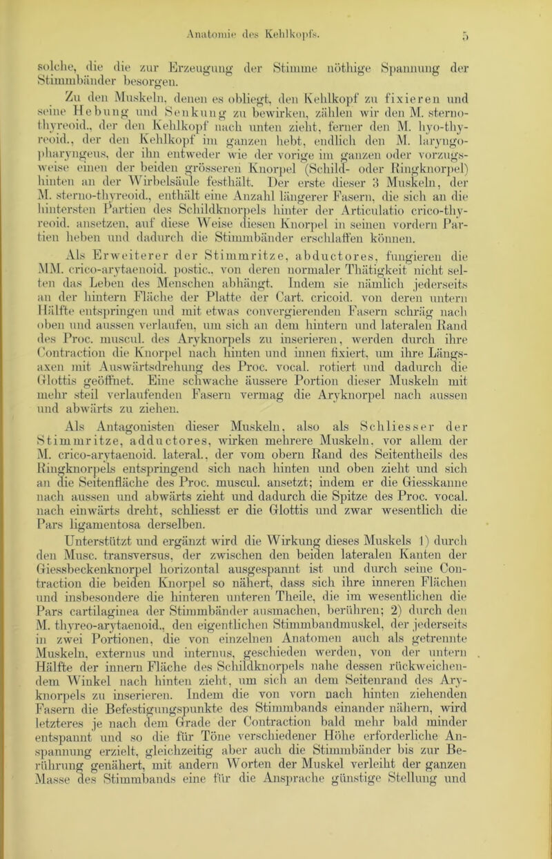 solche, die die zur Erzeugung der Stimme nöthige Spannung der Stimmbänder besorgen. Zu den Muskeln, denen es obliegt, den Kehlkopf zu fixieren und seine Hebung und Senkung zu bewirken, zählen wir den M. sterno- fhyreoid., der den Kehlkopf nach unten zieht, ferner den M. hyo-thy- reoid., der den Kehlkopf im ganzen hebt, endlich den M. laryngo- pharyngeus, der ihn entweder wie der vorige im ganzen oder vorzugs- weise einen der beiden grösseren Knorpel (Schild- oder Kingknorpel) hinten an der Wirbelsäule festhält. Der erste dieser 3 Muskeln, der M. sterno-tliyreoid., enthält eine Anzahl längerer Fasern, die sich an die hintersten Partien des Schildknorpels hinter der Articulatio crico-thy- reoid. ansetzen, aut diese Weise diesen Knorpel in seinen vordem Par- tien heben und dadurch die Stimmbänder erschlaffen können. Als Erweiterer der Stimmritze, abductores, fungieren die MM. crico-arytaenoid. postic., von deren normaler Thätigkeit nicht sel- ten das Leben des Menschen abhängt. Indem sie nämlich jederseits an der hintern Fläche der Platte der Gart, cricoid. von deren untern Hälfte entspringen und mit etwas convergierenden Fasern schräg nach oben und aussen verlaufen, um sich an dem hintern und lateralen Rand des Proc. muscul. des Aryknorpels zu inserieren, werden durch ihre Contraction die Knorpel nach hinten und innen fixiert, um ihre Längs- axen mit Auswärtsdrehung des Proc. vocal. rotiert und dadurch die Glottis geöffnet. Eine schwache äussere Portion dieser Muskeln mit mehr steil verlaufenden Fasern vermag die Aryknorpel nach aussen und abwärts zu ziehen. Als Antagonisten dieser Muskeln, also als Sch Hesse r der Stimmritze, adductores, wirken mehrere Muskeln, vor allem der M. crico-arytaenoid. lateral., der vom obern Rand des Seitentheils des Ringknorpels entspringend sich nach hinten und oben zieht und sich an die Seitenfläche des Proc. muscul. ansetzt; indem er die Giesskanne nach aussen und abwärts zieht und dadurch die Spitze des Proc. vocal. nach einwärts dreht, schliesst er die Glottis und zwar wesentlich die Pars ligamentosa derselben. Unterstützt und ergänzt wird die Wirkung dieses Muskels I) durch den Muse, transversus. der zwischen den beiden lateralen Kanten der Giessbeckenknorpel horizontal ausgespannt ist und durch seine Con- traction die beiden Knorpel so nähert, dass sich ihre inneren Flächen und insbesondere die hinteren unteren Theile, die im wesentlichen die Pars cartilaginea der Stimmbänder ausmachen, berühren; 2) durch den M. thyreo-arytaenoid., den eigentlichen Stimmbandmuskel, der jederseits in zwei Portionen, die von einzelnen Anatomen auch als getrennte Muskeln, externus und internus, geschieden werden, von der untern Hälfte der innern Fläche des Schildknorpels nahe dessen rückweichen- dem Winkel nach hinten zieht, um sich an dem Seitenrand des Ary- knorpels zu inserieren. Indem die von vorn nach hinten ziehenden Fasern die Befestigungspunkte des Stimmbands einander nähern, wird letzteres je nach dem Grade der Contraction bald mehr bald minder entspannt und so die für Töne verschiedener Höhe erforderliche An- spannung erzielt, gleichzeitig aber auch die Stimmbänder bis zur Be- rührung genähert, mit andern Worten der Muskel verleiht der ganzen Masse des Stimmbands eine für die Ansprache günstige Stellung und