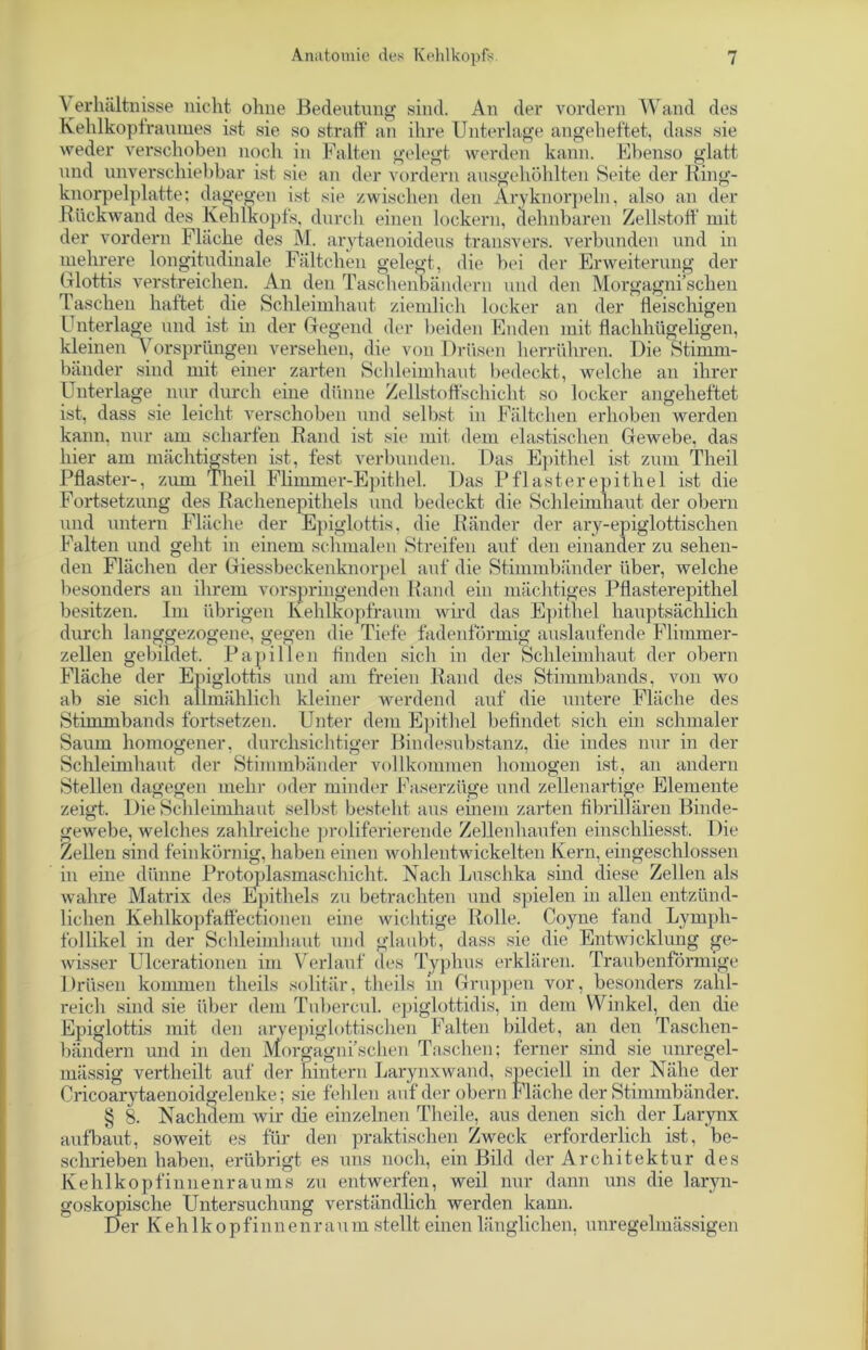 Verhältnisse nicht ohne Bedeutung sind. An der vordem Wand des Kehlkopfraumes ist sie so straff an ihre Unterlage angeheftet, dass sie weder verschoben noch in Falten gelegt werden kann. Ebenso glatt und unverschiebbar ist sie an der vordem ausgehöhlten Seite der lting- knorpelplatte: dagegen ist sie zwischen den Aryknorpeln, also an der Rückwand des Kehlkopfs, durch einen lockern, dehnbaren Zellstoff mit der vordem Fläche des M. arytaenoideus transvers. verbunden und in mehrere longitudinale Fältchen gelegt, die bei der Erweiterung der Glottis verstreichen. An den Tasehenbändern und den Morgagni’sehen Taschen haftet die Schleimhaut ziemlich locker an der fleischigen Unterlage und ist in der Gegend der beiden Enden mit flachhügeligen, kleinen Y orsprüngen versehen, die von Drüsen herrühren. Die Stimm- bänder sind mit einer zarten Schleimhaut bedeckt, welche an ihrer Unterlage nur durch eine dünne Zellstoflfschicht so locker angeheftet ist, dass sie leicht verschoben und selbst in Fältchen erhoben werden kann, nur am scharfen Rand ist sie mit dem elastischen Gewebe, das hier am mächtigsten ist, fest verbunden. Das Epithel ist zum Tlieil Pflaster-, zum Tlieil Flimmer-Epithel. Das Pflasterepithel ist die Fortsetzung des Rachenepithels und bedeckt die Schleimhaut der obern und untern Fläche der Epiglottis, die Ränder der ary-epiglottischen Falten und geht in einem schmalen Streifen auf den einander zu sehen- den Flächen der Giessbeckenknorpel auf die Stimmbänder über, welche besonders an ihrem vorspringenden Rand ein mächtiges Pflasterepithel besitzen. Im übrigen Kehlkopfraum wird das Epithel hauptsächlich durch langgezogene, gegen die Tiefe fadenförmig auslaufende Flimmer- zellen gebildet. Papillen finden sich in der Schleimhaut der obern Fläche der Epiglottis und am freien Rand des Stimmbands, von wo ab sie sich allmählich kleiner werdend auf die untere Fläche des Stimmbands fortsetzen. Unter dem Epithel befindet sich ein schmaler Saum homogener, durchsichtiger Bindesubstanz, die indes nur in der Schleimhaut der Stimmbänder vollkommen homogen ist, an andern Stellen dagegen mehr oder minder Faserzüge und zellenartige Elemente zeigt. Die Schleimhaut selbst besteht aus einem zarten fibrillären Binde- gewebe, welches zahlreiche proliferierende Zellenhaufen einschliesst. Die Zellen sind feinkörnig, haben einen wohlentwickelten Kern, eingeschlossen in eine dünne Protoplasmaschicht. Nach Luschka sind diese Zellen als wahre Matrix des Epithels zu betrachten und spielen in allen entzünd- lichen Kehlkopfaffectionen eine wichtige Rolle. Coyne fand Lympli- follikel in der Schleimhaut und glaubt, dass sie die Entwicklung ge- wisser Ulcerationen im Verlauf des Typhus erklären. Traubenförmige Drüsen kommen theils solitär, theils in Gruppen vor, besonders zahl- reich sind sie über dem Tubercul. epiglott.idis, in dem Winkel, den die Epiglottis mit den aryepiglottischen Falten bildet, an den Taschen- bändern und in den Morgagni’schen Taschen; ferner sind sie unregel- mässig vertheilt auf der hintern Larynxwand, speciell in der Nähe der Cricoarytaenoidgelenke; sie fehlen auf der obern Fläche der Stimmbänder. § 8. Nachdem wir die einzelnen Theile, aus denen sich der Larynx aufbaut, soweit es für den praktischen Zweck erforderlich ist, be- schrieben haben, erübrigt es uns noch, ein Bild der Architektur des Kehlkopfinnenraums zu entwerfen, weil nur dann uns die laryn- goskopische Untersuchung verständlich werden kann. Der Kehlk opfinnenraum stellt einen länglichen, unregelmässigen