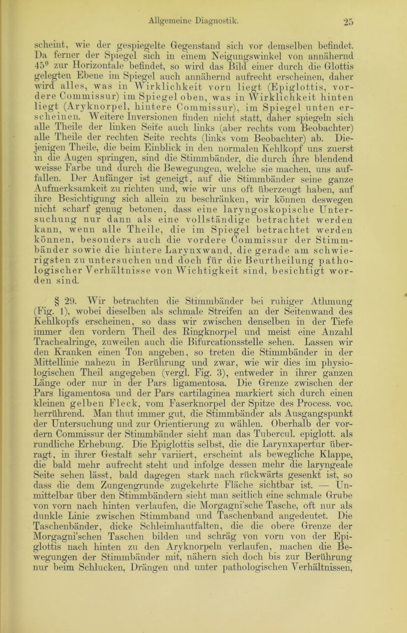 scheint, wie der gespiegelte Gegenstand sich vor demselben befindet. Da ferner der Spiegel sich in einem Neigungswinkel von annähernd 45° zur Horizontale befindet, so wird das Bild einer durch die Glottis gelegten Ebene im Spiegel auch annähernd aufrecht erscheinen, daher wird alles, was in Wirklichkeit vorn liegt (Epiglottis, vor- dere Commissur) im Spiegel oben, Avas in Wirklichkeit hinten liegt (Aryknorpel, hintere Commissur), im Spiegel unten er- scheinen. Weitere Inversionen finden nicht statt, daher spiegeln sich alle Theile der linken Seite auch links (aber rechts vom Beobachter) alle Theile der rechten Seite rechts (links vom Beobachter) ab. Die- jenigen Theile, die beim Einblick in den normalen Kehlkopf uns zuerst in die Augen springen, sind die Stimmbänder, die durch ihre blendend Aveisse Farbe und durch die Bewegungen, welche sie machen, uns auf- fallen. Der Anfänger ist geneigt, auf die Stimmbänder seine ganze Aufmerksamkeit zu richten und, wie Avir uns oft überzeugt haben, auf ihre Besichtigung sich allein zu beschränken, Avir können deswegen nicht scharf genug betonen, dass eine laryngoskopisclie Unter- suchung nur dann als eine vollständige betrachtet werden kann, wenn alle Theile, die im Spieo-el betrachtet werden können, besonders auch die vordere Commissur der Stimm- bänder sowie die hintere Larynxwand, die gerade am schwie- rigsten zu untersuchen und doch für die Beurtheilung patho- logischer Verhältnisse von Wichtigkeit sind, besichtigt wor- den sind. § 29. Wir betrachten die Stimmbänder bei ruhiger Athmung (E'ig. 1), Avobei dieselben als schmale Streifen an der Seitenavand des Kehlkopfs erscheinen, so dass wir zwischen denselben in der Tiefe immer den vordem Theil des Ringknorpel und meist eine Anzahl Trachealringe, zuweilen auch die Bifurcationsstelle sehen. Lassen wil- den Kranken einen Ton angeben, so treten die Stimmbänder in der Mittellinie nahezu in Berührung und zwar, wie wir dies im physio- logischen Theil angegeben (vergl. Fig. 3), entweder in ihrer ganzen Länge oder nur in der Pars ligamentosa. Die Grenze zwischen der Pars ligamentosa und der Pars cartilaginea markiert sich durch einen kleinen gelben Fleck, vom Faserknorpel der Spitze des Process. voc. herrührend. Man thut immer gut, die Stimmbänder als Ausgangspunkt der Untersuchung und zur Orientierung zu wählen. Oberhalb der vor- dem Commissur der Stimmbänder sieht man das Tubercul. epiglott. als rundliche Erhebung. Die Epiglottis selbst, die die Larynxapertur über- ragt, in ihrer Gestalt sehr variiert, erscheint als bewegliche Klappe, die bald mehr aufrecht steht und infolge dessen mein- die laryngeale Seite sehen lässt, bald dagegen stark nach rückwärts gesenkt ist, so dass die dem Zungengrunde zugekehrte Fläche sichtbar ist. — Un- mittelbar über den Stimmbändern sieht man seitlich eine schmale Grube von vorn nach hinten verlaufen, die Morgagni sehe Tasche, oft nur als dunkle Linie zwischen Stimmband und Taschenband angedeutet. Die Taschenbänder, dicke Schleimhautfalten, die die obere Grenze der Morgagmschen Taschen bilden und schräg von vorn von der Epi- glottis nach hinten zu den Aryknorpeln verlaufen, machen die Be- wegungen der Stimmbänder mit, nähern sich doch bis zur Berührung nur beim Schlucken, Drängen und unter pathologischen Verhältnissen,