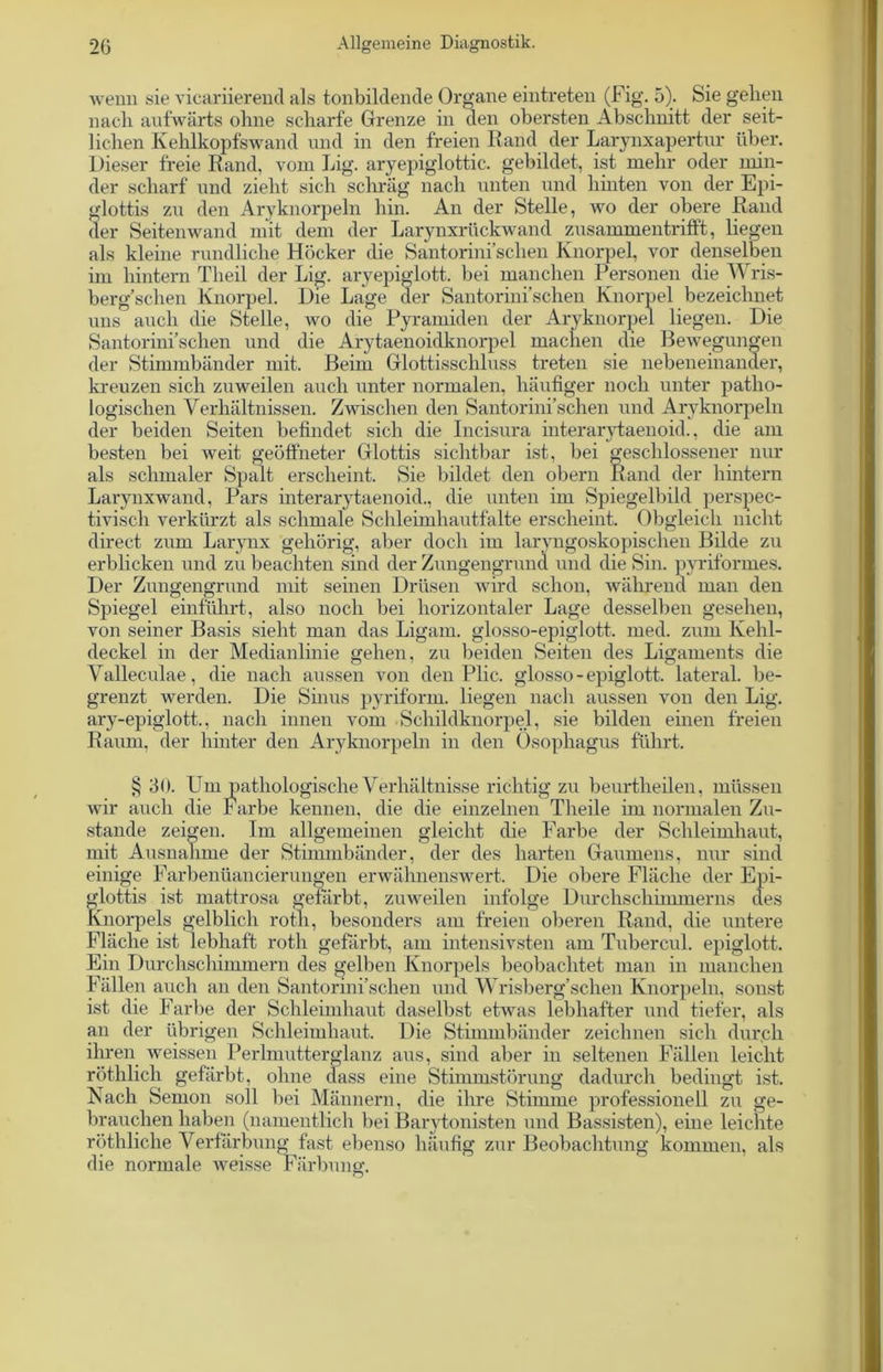 wenn sie vicariierend als tonbildende Organe eintreten (Fig. 5). Sie gehen nach aufwärts ohne scharfe Grenze in den obersten Abschnitt der seit- lichen Kehlkopfswand und in den freien Rand der Larynxapertur über. Dieser freie Rand, vom Lig. aryepiglottic. gebildet, ist mehr oder min- der scharf und zieht sich schräg nach unten und hinten von der Epi- glottis zu den Aryknorpeln hin. An der Stelle, avo der obere Rand der Seiten wand mit dem der Larynxrückwand zusammentrifft, liegen als kleine rundliche Höcker die Santorini’schen Knorpel, vor denselben im hintern Theil der Lig. aryepiglott. bei manchen Personen die Wris- berg’schen Knorpel. Die Lage der Santorini’schen Knorpel bezeichnet uns auch die Stelle, wo die Pyramiden der Aryknorpel liegen. Die Santorini’schen und die Arytaenoidknorpel machen die Bewegungen der Stimmbänder mit. Beim Glottisschluss treten sie nebeneinander, kreuzen sich zuweilen auch unter normalen, häufiger noch unter patho- logischen Verhältnissen. Zwischen den Santorini’schen und Aryknorpeln der beiden Seiten befindet sich die Incisura interarytaenoid., die am besten bei weit geöffneter Glottis sichtbar ist, bei geschlossener nur als schmaler Spalt erscheint. Sie bildet den obern Rand der hintern Larynxwand, Pars interarytaenoid., die unten im Spiegelbild perspec- tivisch verkürzt als schmale Schleimhautfalte erscheint. Obgleich nicht direct zum Larynx gehörig, aber doch im laryngoskopischen Bilde zu erblicken und zu beachten sind der Zungengrund und die Sin. pyriformes. Der Zungengrund mit seinen Drüsen wird schon, während man den Spiegel einführt, also noch bei horizontaler Lage desselben gesehen, von seiner Basis sieht man das Ligam. glosso-epiglott. med. zum Kehl- deckel in der Medianlinie gehen, zu beiden Seiten des Ligaments die Valleculae, die nach aussen von den Plic. glosso-epiglott. lateral, be- grenzt werden. Die Sinus pyriform. liegen nach aussen von den Lig. ary-epiglott., nach innen vom Schildknorpel, sie bilden einen freien Raum, der hinter den Aryknorpeln in den Ösophagus führt. § 30. Um pathologische Verhältnisse richtig zu beurtheilen, müssen wir auch die Farbe kennen, die die einzelnen Theile im normalen Zu- stande zeigen. Im allgemeinen gleicht die Farbe der Schleimhaut, mit Ausnahme der Stimmbänder, der des harten Gaumens, nur sind einige Farbenüancierungen erwähnenswert. Die obere Fläche der Epi- glottis ist mattrosa gefärbt, zuweilen infolge Durchscliimmerns des Knorpels gelblich roth, besonders am freien oberen Rand, die untere Fläche ist lebhaft roth gefärbt, am intensivsten am Tubercul. epiglott. Ein Durchschimmern des gelben Knorpels beobachtet man in manchen Fällen auch an den Santorini’schen und Wrisberg’schen Knorpeln, sonst ist die Farbe der Schleimhaut daselbst etwas lebhafter und tiefer, als an der übrigen Schleimhaut. Die Stimmbänder zeichnen sich durch ihren weissen Perlmutterglanz aus, sind aber in seltenen Fällen leicht röthlich gefärbt, ohne dass eine Stimmstörung dadurch bedingt ist. Nach Semon soll bei Männern, die ihre Stimme professionell zu ge- brauchen haben (namentlich bei Barytonisten und Bassisten), eine leichte röthliche Verfärbung fast ebenso häufig zur Beobachtung kommen, als Hie normale Aveisse Färbung.