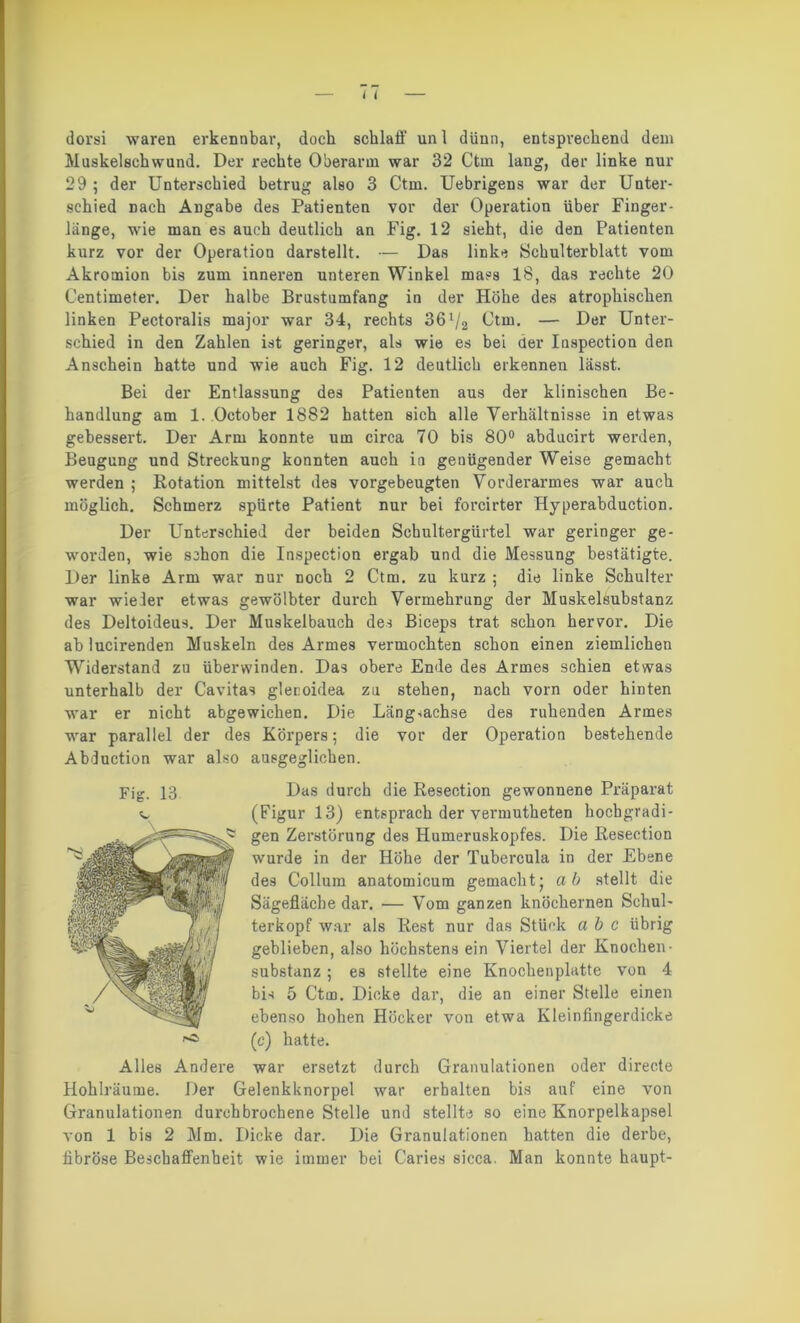 dorsi waren erkennbar, dock schlaff uni dünn, entsprechend dem Muskelschwund. Der rechte Oberarm war 32 Ctm lang, der linke nur 29 ; der Unterschied betrug also 3 Ctm. Uebrigens war der Unter- schied Dach Angabe des Patienten vor der Operation über Finger- lange, wie man es auch deutlich an Fig. 12 sieht, die den Patienten kurz vor der Operation darstellt. — Das linke Schulterblatt vom Akromion bis zum inneren unteren Winkel mass 18, das rechte 20 C’entimeter. Der halbe Brustumfang in der Höhe des atrophischen linken Pectoralis major war 34, rechts 361/2 Ctm. — Der Unter- schied in den Zahlen ist geringer, als wie es bei der Inspection den Anschein hatte und wie auch Fig. 12 deutlich erkennen lässt. Bei der Entlassung des Patienten aus der klinischen Be- handlung am 1. October 1882 hatten sich alle Verhältnisse in etwas gebessert. Der Arm konnte um circa 70 bis 80° abducirt werden, Beugung und Streckung konnten auch in genügender Weise gemacht werden ; Rotation mittelst des vorgebeugten Vorderarmes war auch möglich. Schmerz spürte Patient nur bei forcirter Hyperabduction. Der Unterschied der beiden Schultergürtel war geringer ge- worden, wie schon die Inspection ergab und die Messung bestätigte. Der linke Arm war nur noch 2 Ctm. zu kurz ; die linke Schulter war wieder etwas gewölbter durch Vermehrung der Muskelöubstanz des Deltoideus. Der Muskelbauch des Biceps trat schon hervor. Die ab lucirenden Muskeln des Armes vermochten schon einen ziemlichen Widerstand zu überwinden. Das obere Ende des Armes schien etwas unterhalb der Cavitas glecoidea zu stehen, nach vorn oder hinten war er nicht abgewichen. Die Läng-iachse des ruhenden Armes war parallel der des Körpers; die vor der Operation bestehende ausgeglichen. Das durch die Resection gewonnene Präparat (Figur 13) entsprach der vermutheten hochgradi- gen Zerstörung des Humeruskopfes. Die Resection wurde in der Höhe der Tubercula in der Ebene des Collum anatomicum gemacht; ab stellt die Sägefläche dar. — Vom ganzen knöchernen Schul- terkopf war als Rest nur das Stück a b c übrig geblieben, also höchstens ein Viertel der Knochen- Substanz ; es stellte eine Knochenplatte von 4 bis 5 Ctm. Dicke dar, die an einer Stelle einen ebenso hohen Höcker von etwa Kleinfingerdicke (c) hatte. war ersetzt durch Granulationen oder directe Hohlräume. Der Gelenkknorpel war erhalten bis auf eine von Granulationen durchbrochene Stelle und stellte so eine Knorpelkapsel von 1 bis 2 Mm. Dicke dar. Die Granulationen hatten die derbe, fibröse Beschaffenheit wie immer hei Caries sicca. Man konnte haupt- Abduction war also Fig. 13 i«a Alles Andere