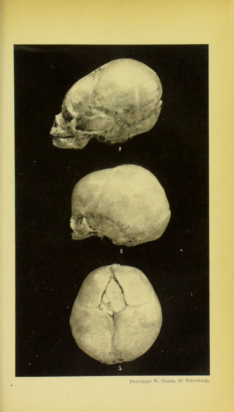 riiototypie W. Clason, St. Petersburg.