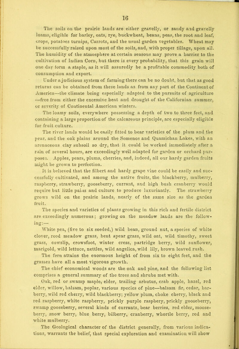 The soils on the prairie lands are either gravelly, or sandy aid gravelly loams, eligible for barley, oats, rye, buckwheat, beans, peas, the root and leaf, crops, potatoes turnips, Carrots, and the usual garden vegetables. Wheat may be successfully raised upon most of the soils, and, with proper tillage, upon all. The humidity of the atmosphere at certain seasons may prove a barrier to the cultivation of Indian Corn, but there is every probability, that this grain will one day form a staple, as it will assuredly be a profitable commodity both of consumption and export. Under a judicious system of farming there can be no doubt, but that as good returns can be obtained from these lands as from any part of the Continent of America—the climate being especially adapted to the pursuits of agriculture ■—free from either the excessive heat and drought of the Californian summer, or severity of Continental American winters. The loamy soils, everywhere possessing a depth of two to three feet, and containing a large proportion of the calcareous principle, are especially eligible for fruit culture. The river lands would be easily fitted to bear varieties of the plum and the pear, and the oak plains around the Somenos and Quamichan Lakes, with an arenaceous clay subsoil so dry, that it could be worked immediately after a rain of several hours, are exceedingly well adapted for garden or orchard pur- poses. Apples, pears, plums, cherries, and, indeed, all our hardy garden fruits might be grown to perfection. It is believed that the filbert and hardy grape vine could be easily and suc- cessfully cultivated, and among the native fruits, the blackberry, mulberry, raspberry, strawberry, gooseberry, currant, and high bush cranberry would require but little pains and culture to produce luxuriantly. The strawberry grows wild on the prairie lands, nearly of the same size as the garden fruit. The species and varieties of plants growing in this rich and fertile district are exceedingly numerous; growing on the meadow lands are the follow- ing:—• O White pea, (five to six seeded,) wild bean, ground nut, a species of white clover, reed meadow grass, bent spear grass, wild oat, wild timothy, sweet grass, cowslip, crowsfoot, winter cress, partridge berry, wild sunflower, marigold, wild lettuce, nettles, wild angelica, wild lily, brown leaved rush. The fern attains the enormous height of from six to eight feet, ?.nd the grasses have all a most vigorous growth. The chief economical woods are the oak and pine, and the following list comprises a general summary of the trees and shrubs met with. Oak, red or swamp maple,- elder, trailing arbutus, crab apple, hazel, red elder, willow, balsam, poplar, various species of pine—balsam fir, cedar, bar- berry, wild red cherry, wild blackberry; yellow plum, choke cherry, black and red raspberry, white raspberry, prickly purple raspbery, prickly gooseberry, swamp gooseberry, several kinds of currants, bear berries, red elder, moose- berry, snow berry, blue berry, bilberry, cranberry, whortle berry, red and white mulberry. The Geological character of the district generally, from various indica- tions, warrants the belief, that special exploration and examination will show