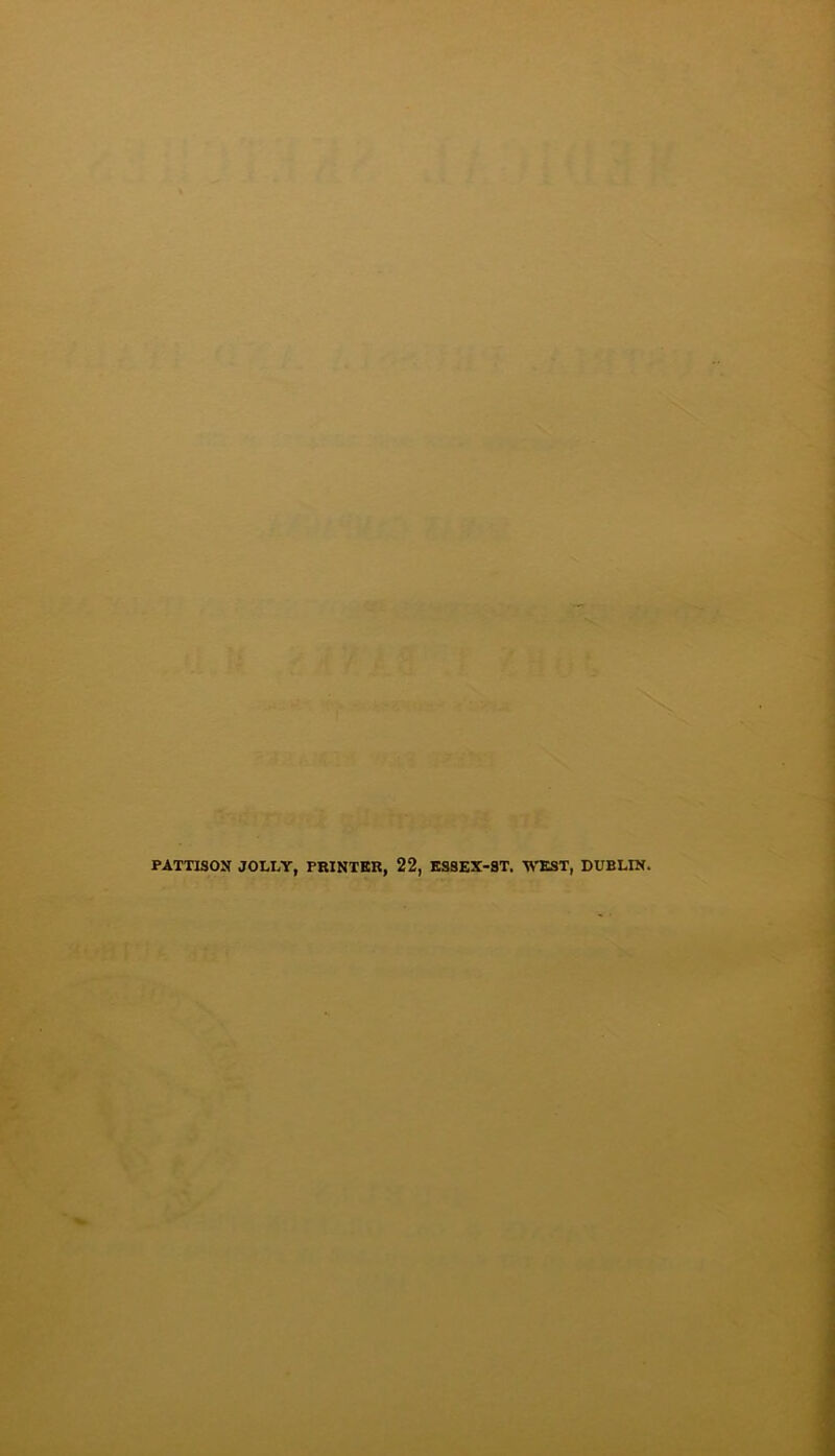 PATTISON JOLLY, PEINTEB, 22, ES8EX-8T. WTST, DUBLIN.