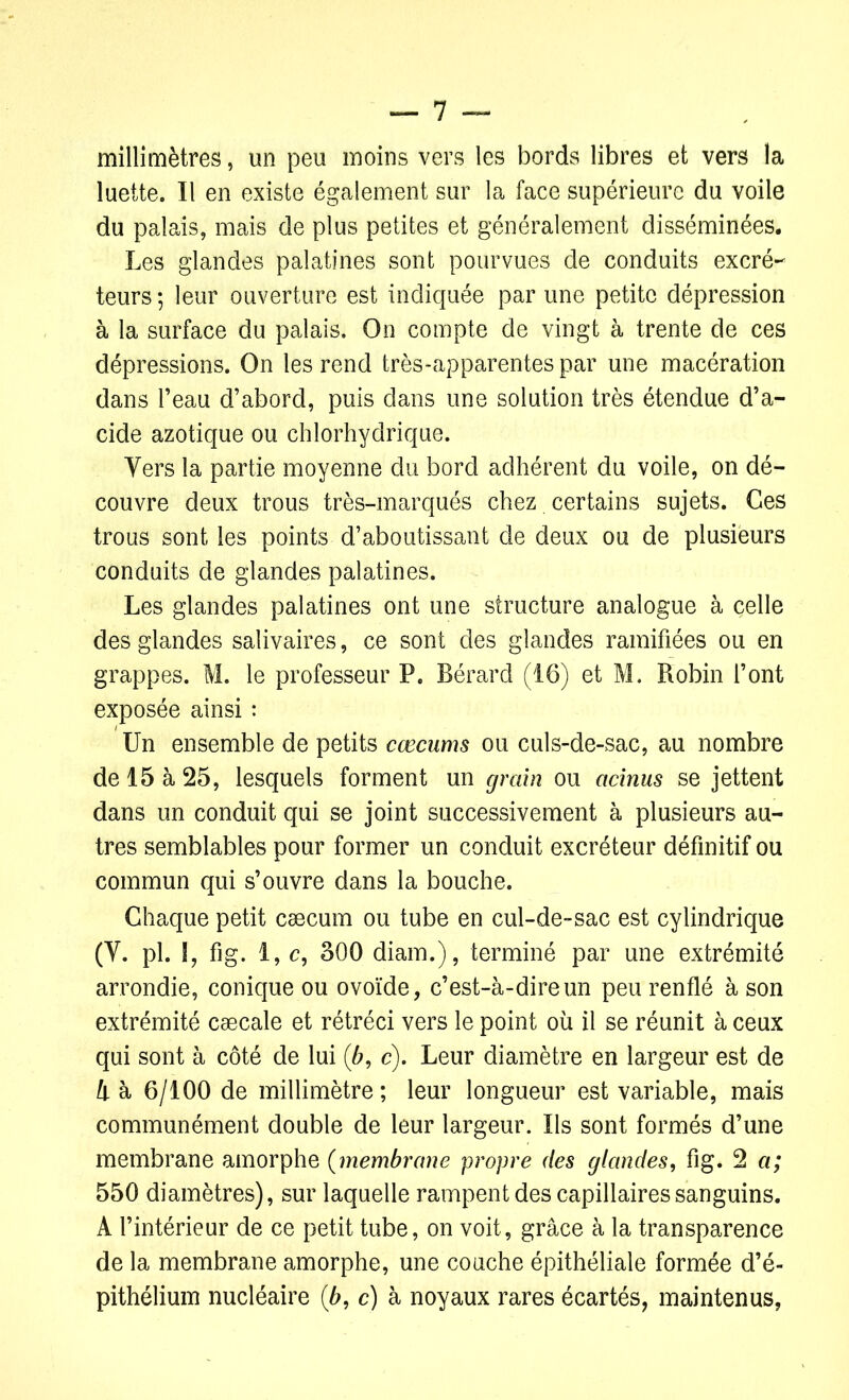 millimètres, un peu moins vers les bords libres et vers la luette. Il en existe également sur la face supérieure du voile du palais, mais de plus petites et généralement disséminées. Les glandes palatines sont pourvues de conduits excré- teurs ; leur ouverture est indiquée par une petite dépression à la surface du palais. On compte de vingt à trente de ces dépressions. On les rend très-apparentes par une macération dans l’eau d’abord, puis dans une solution très étendue d’a- cide azotique ou chlorhydrique. Vers la partie moyenne du bord adhérent du voile, on dé- couvre deux trous très-marqués chez certains sujets. Ces trous sont les points d’aboutissant de deux ou de plusieurs conduits de glandes palatines. Les glandes palatines ont une structure analogue à celle des glandes salivaires, ce sont des glandes ramifiées ou en grappes. M. le professeur P. Bérard (16) et M. Robin l’ont exposée ainsi : Un ensemble de petits cæcums ou culs-de-sac, au nombre de 15 à 25, lesquels forment un grain ou acinus se jettent dans un conduit qui se joint successivement à plusieurs au- tres semblables pour former un conduit excréteur définitif ou commun qui s’ouvre dans la bouche. Chaque petit cæcum ou tube en cul-de-sac est cylindrique (Y. pl. î, fig. 1, c, 300 diam.), terminé par une extrémité arrondie, conique ou ovoïde, c’est-à-dire un peu renflé à son extrémité cæcale et rétréci vers le point où il se réunit à ceux qui sont à côté de lui (b, c). Leur diamètre en largeur est de h à 6/100 de millimètre ; leur longueur est variable, mais communément double de leur largeur. Us sont formés d’une membrane amorphe (membrane propre des glandes, fig. 2 a; 550 diamètres), sur laquelle rampent des capillaires sanguins. A l’intérieur de ce petit tube, on voit, grâce à la transparence de la membrane amorphe, une couche épithéliale formée d’é- pithélium nucléaire (b, c) à noyaux rares écartés, maintenus,