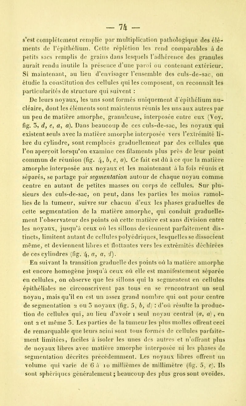 s’est complètement remplie par multiplication pathologique des élé- ments de l’épithélium. Celte réplétion les rend comparables à de petits sacs remplis de grains dans lesquels l’adhérence des granules aurait rendu inutile la présence d’une paroi ou contenant extérieur. Si maintenant, au lieu d’envisager l’ensemble des culs-de-sac, on étudie la constitution des cellules qui les composent, on reconnaît les particularités de structure qui suivent : De leurs noyaux, les uns sont formés uniquement d'épithélium nu- cléaire, dont les éléments sont maintenus réunis les uns aux autres par un peu de matière amorphe, granuleuse, interposée entre eux (Voy. fig. 3, d, e, a, a). Dans beaucoup de ces culs-de-sac, les noyaux qui existent seuls avec la matière amorphe interposée vers l’extrémité li- bre du cylindre, sont remplacés graduellement par des cellules que l’on aperçoit lorsqu’on examine ces filaments plus près de leur point commun de réunion (fig. 4? b, e, a). Ce fait est dû à ce que la matière amorphe interposée aux noyaux et les maintenant à la fois réunis et séparés, se partage par segmentation autour de chaque noyau comme centre en autant de petites masses ou corps de cellules. Sur plu- sieurs des culs-de-sac, on peut, dans les parties les moins ramol- lies de la tumeur, suivre sur chacun d’eux les phases graduelles de cette segmentation de la matière amorphe, qui conduit graduelle- ment l’observateur des points où cette matière est sans division entre les noyaux, jusqu’à ceux où les sillons deviennent parfaitement dis- tincts, limitent autant de cellules polyédriques, lesquelles se dissocient même, et deviennent libres et flottantes vers les extrémités déchirées de ces cylindres (fig. 4, a, «, d). En suivant la transition graduelle des points où la matière amorphe est encore homogène jusqu’à ceux où elle est manifestement séparée en cellules, on observe que les sillons qui la segmentent en cellules épithéliales ne circonscrivent pas tous en se rencontrant un seul noyau, mais qu’il en est un assez grand nombre qui ont pour centre de segmentation a ou 3 noyaux (fig. 5, b, d) : d’où résulte la produc- tion de cellules qui, au lieu d’avoir î seul noyau central (a, a), en ont a et même 3. Les parties de la tumeur les plus molles offrent ceci de remarquable que leurs acini sont tous formés de cellules parfaite- ment limitées, faciles à isoler les unes des autres et n’offrant plus de noyaux libres avec matière amorphe interposée ni les phases de segmentation décrites précédemment. Les noyaux libres offrent un volume qui varie de 6 à îo millièmes de millimètre (fig. 5, e). Ils sont sphériques généralement ; beaucoup des plus gros sont ovoïdes.