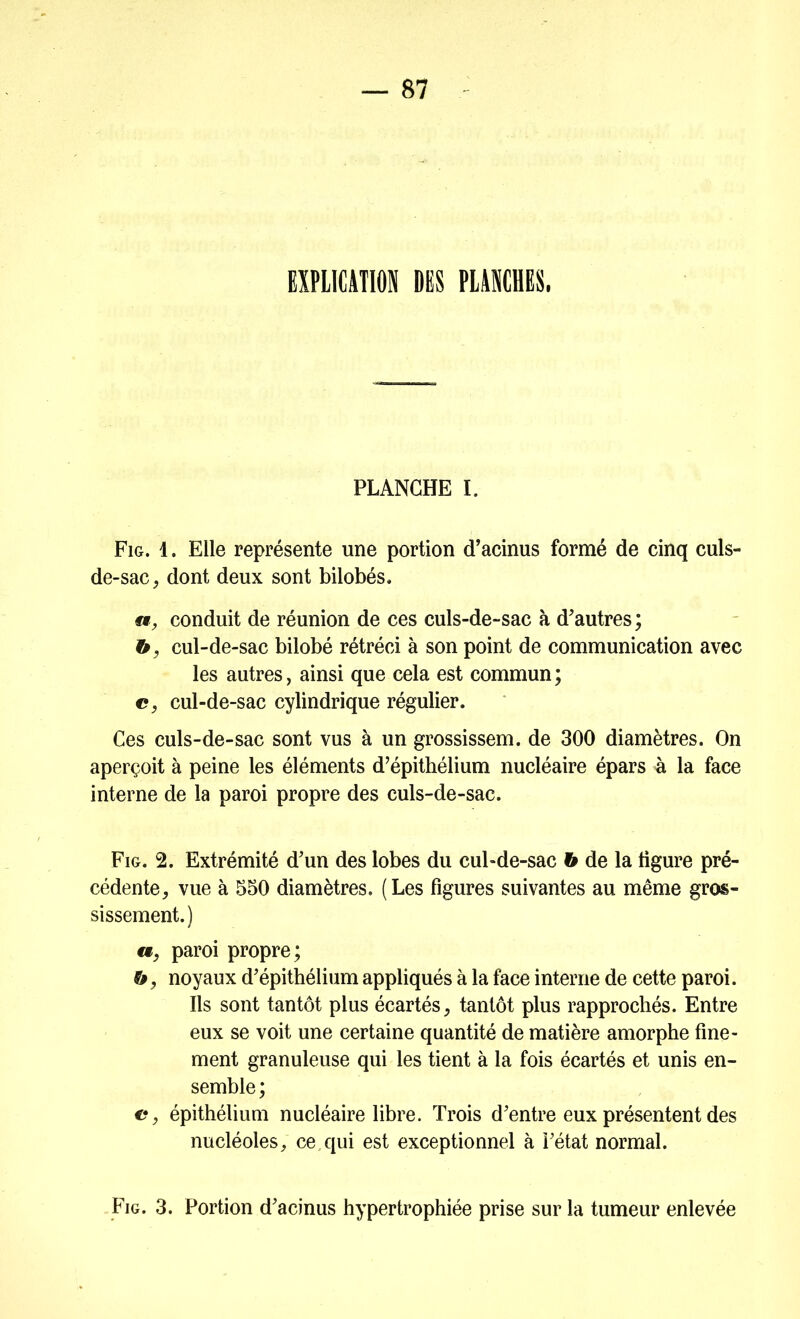 EXPLICATION DES PLANCHES, PLANCHE I. Fig. 1. Elle représente une portion d’acinus formé de cinq culs- de-sac, dont deux sont bilobés. «, conduit de réunion de ces culs-de-sac à d'autres; &, cul-de-sac bilobé rétréci à son point de communication avec les autres, ainsi que cela est commun; c, cul-de-sac cylindrique régulier. Ces culs-de-sac sont vus à un grossissem. de 300 diamètres. On aperçoit à peine les éléments d’épithélium nucléaire épars à la face interne de la paroi propre des culs-de-sac. Fig. 2. Extrémité d'un des lobes du cul-de-sac h de la figure pré- cédente, vue à 550 diamètres. (Les figures suivantes au même gros- sissement.) «, paroi propre; &, noyaux d'épithélium appliqués à la face interne de cette paroi. Ils sont tantôt plus écartés, tantôt plus rapprochés. Entre eux se voit une certaine quantité de matière amorphe fine- ment granuleuse qui les tient à la fois écartés et unis en- semble ; e, épithélium nucléaire libre. Trois d'entre eux présentent des nucléoles, ce,qui est exceptionnel à l'état normal. Fig. 3. Portion d'acinus hypertrophiée prise sur la tumeur enlevée
