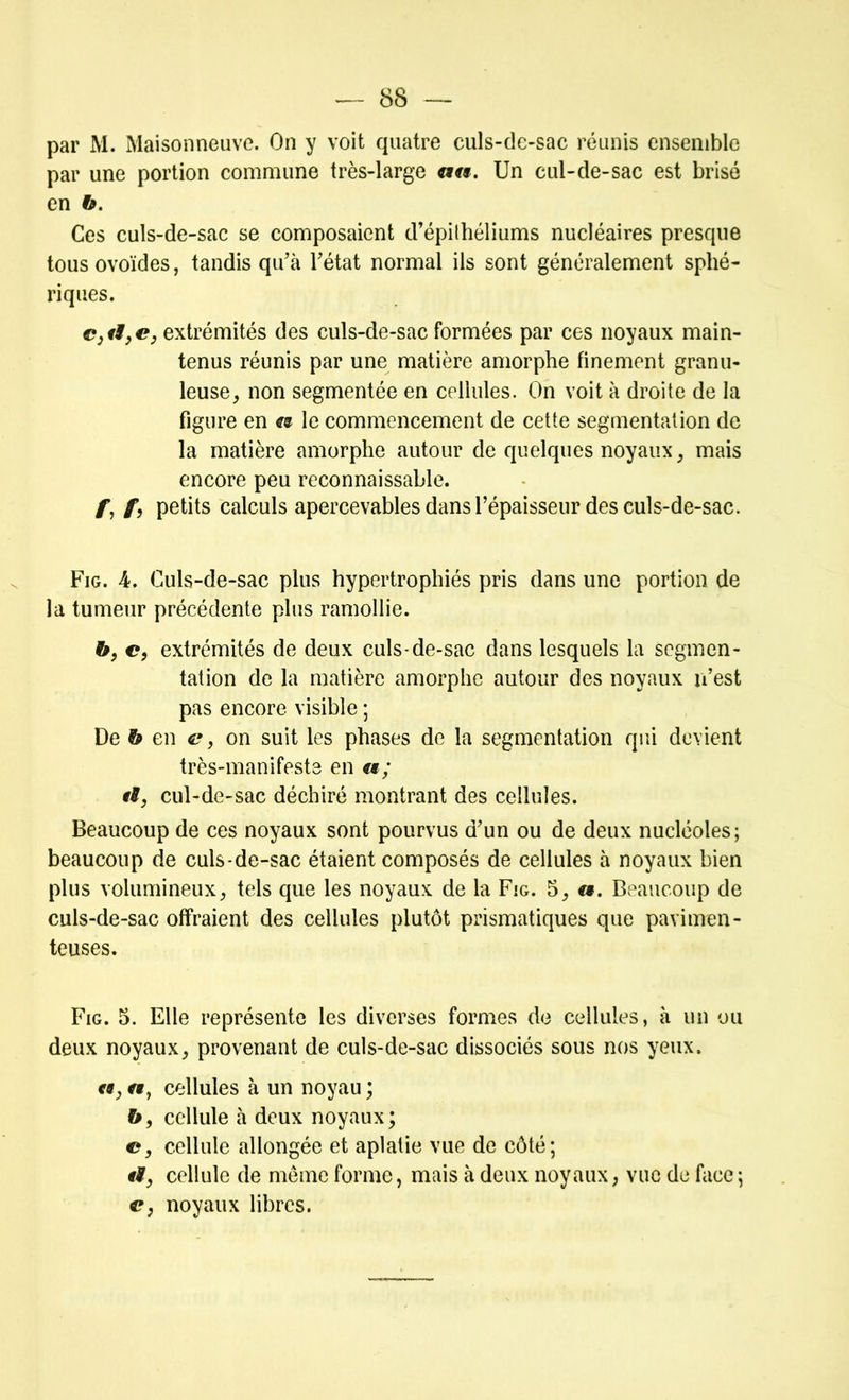 par M. Maisonneuve. On y voit quatre culs-de-sac réunis ensemble par une portion commune très-large au. Un cul-de-sac est brisé en b. Ces culs-de-sac se composaient d’épithéliums nucléaires presque tous ovoïdes, tandis qu'à l'état normal ils sont généralement sphé- riques. extrémités des culs-de-sac formées par ces noyaux main- tenus réunis par une matière amorphe finement granu- leuse, non segmentée en cellules. On voit à droite de la figure en a le commencement de cette segmentation de la matière amorphe autour de quelques noyaux, mais encore peu reconnaissable. /; /, petits calculs apercevables dans l’épaisseur des culs-de-sac. Fig. 4. Culs-de-sac plus hypertrophiés pris dans une portion de la tumeur précédente plus ramollie. b, c, extrémités de deux culs-de-sac dans lesquels la segmen- tation de la matière amorphe autour des noyaux n’est pas encore visible ; De b en e, on suit les phases de la segmentation qui devient très-manifeste en a; ti, cul-de-sac déchiré montrant des cellules. Beaucoup de ces noyaux sont pourvus d'un ou de deux nucléoles; beaucoup de culs-de-sac étaient composés de cellules à noyaux bien plus volumineux, tels que les noyaux de la Fig. 5, (». Beaucoup de culs-de-sac offraient des cellules plutôt prismatiques que pavimen- teuses. Fig. 5. Elle représente les diverses formes de cellules, à un ou deux noyaux, provenant de culs-de-sac dissociés sous nos yeux. cellules à un noyau; b, cellule à deux noyaux; c, cellule allongée et aplatie vue de côté; <9, cellule de même forme, mais à deux noyaux, vue de face ; c} noyaux libres.