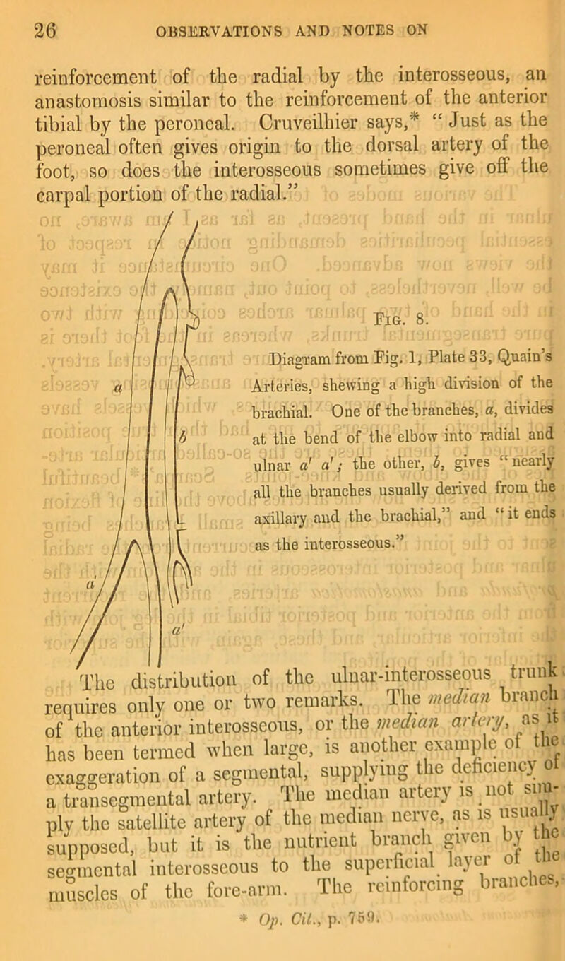 reinforcement of the radial by the interosseous, an anastomosis similar to the reinforcement of the anterior tibial by the peroneal. Cruveilhier says,* “ Just as the peroneal often gives origin to the dorsal artery of the foot, so does the interosseous sometimes give off the carpal portion of the radial.” Fig. 8. Diagram from Fig. 1, Plate 33, Quain’s Arteries, shewing a high division of the brachial. One of the branches, cr, divides at the bend of the elbow into radial and 1 ulnar a' the other, b, gives “nearly all the branches usually derived from the axillary and the brachial,’ and “it ends as the interosseous.” requires only one or two wmaava. of the anterior interosseous, or the median artery, as it has been termed when large, is another example of the exaggeration of a segmental, supplying the deficiency ot a transegmental artery. The median artery is no -1' ply the satellite artery of the median nerve, as is usua ) supposed, but it is the nutrient branch given by he segmental interosseous to the superficial layer ot the muscles of the fore-arm. The reinforcing branches,