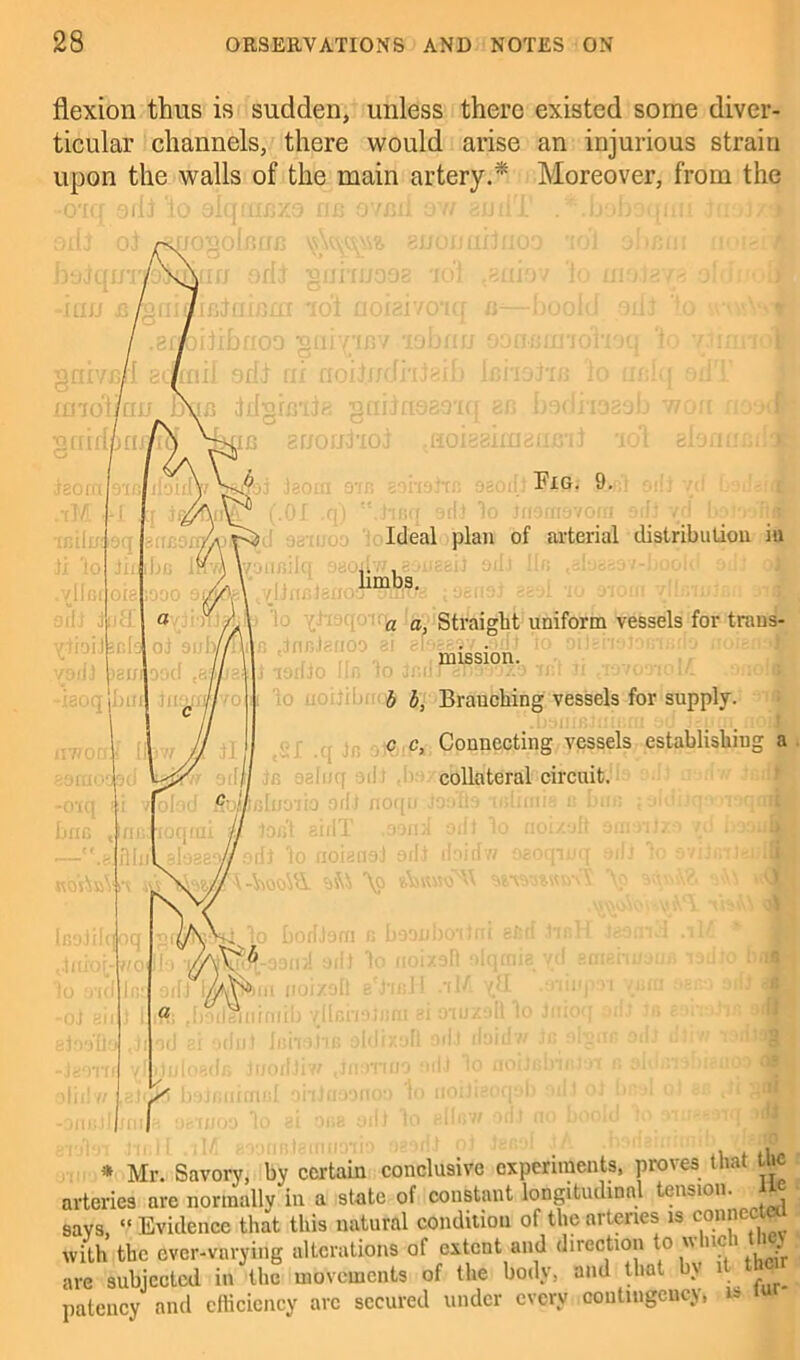 flexion thus is sudden, unless there existed some diver- ticular channels, there would arise an injurious strain upon the walls of the main artery.* Moreover, from the )flJ ; 98oif Fig. 9. Ideal plan of arterial distribution in limbs. a a, Straight uniform vessels for trans- mission. b b, Branching vessels for supply. c c, Connecting vessels establishing a collateral circuit. jIuoiiq Ofit norm ioona tBliniis is bifn teat airIT ,oord eill lo noizuft emsii/ i vd i i>| ooidw osoqincr oriJ io svijr/rJc .til * Mr. Savory, by certain conclusive experiments, proves that the arteries arc normally in a state of constant longitudinal tension, ne says, “ Evidence that this natural condition of the arteries is connect with the ever-varying alterations of extent and direction to which the) are subjected in the movements of the body, and that b\ patency and efficiency arc secured under every contingency, is