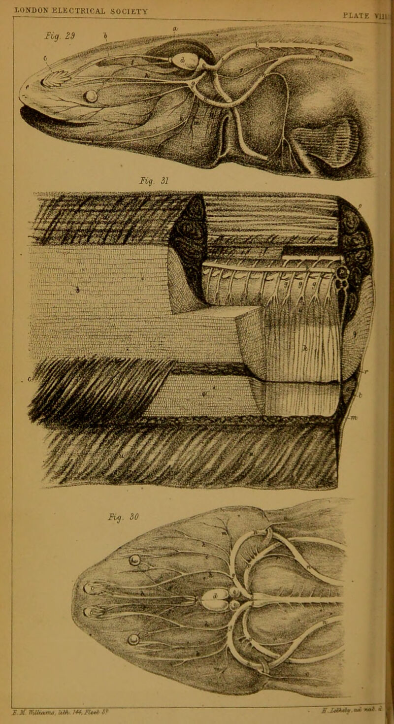LONDON ELECTRICAL SOCIETY PLATE VJil ii . -L-.'T- -'.mV - ; •• mmm mm MSSlittii /}■ /fiAtfa, ad nal £