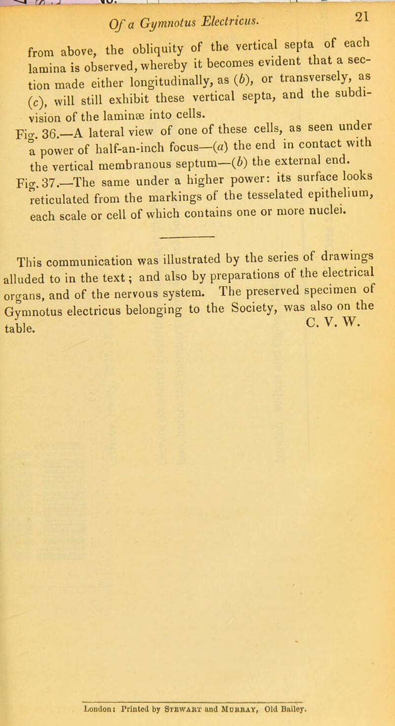 from above, the obliquity of the vertical septa of each lamina is observed, whereby it becomes evident that a sec- tion made either longitudinally, as (b), or transversely, as (c), will still exhibit these vertical septa, and the subdi- vision of the laminse into cells. Fi°\ 36.—A lateral view of one of these cells, as seen under a power of half-an-inch focus—(a) the end in contact with the vertical membranous septum—(6) the external end. Pig, 37.—The same under a higher power: its surface looks reticulated from the markings of the tesselated epithelium, each scale or cell of which contains one or more nuclei. This communication was illustrated by the series of drawings alluded to in the text; and also by preparations of the electrical organs, and of the nervous system. The preserved specimen of Gvmnotus electricus belonging to the Society, was also on the . , p V W London: Printed by Stewart and Mu hr ay, Old Bailey.