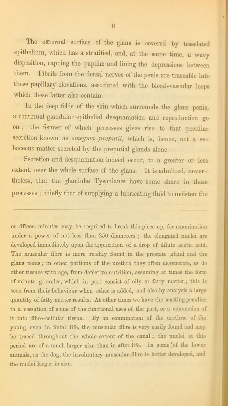 The external surfacG ol the glans is covered by tesselated epithelium, which has a stratified, and, at the same time, a wavy disposition, capping the papillae and lining the depressions between them. Fibrils from the dorsal nerves of the penis are traceable into these papillary elevations, associated with the blood-vascular loops which these latter also contain. In the deep folds of the skin which surrounds the glans penis, a continual glandular epithelial desquamation and reproduction go on ; the former of which processes gives rise to that peculiar secretion known as smegma preputii, which is, hence, not a se- baceous matter secreted by the preputial glands alone. Secretion and desquamation indeed occur, to a greater or less extent, over the whole surface of the glans. It is admitted, never- theless, that the glandules Tysonianae have some share in these processes ; chiefly that of supplying a lubricating fluid to moisten the or fifteen minutes may be required to break this piece up, for examination under a power of not less than 250 diameters ; the elongated nuclei are developed immediately upon the application of a drop of dilute acetic acid. The muscular fibre is more readily found in the prostate gland and the glans penis; in other portions of the urethra they often degenerate, as do other tissues with age, from defective nutrition, assuming at times the form of minute granules, which in part consist of oily or fatty matter; this is seen from their behaviour when ether is added, and also by analysis a large quantity of fatty matter results. At other times we have the wasting peculiar to a cessation of some of the functional uses of the part, or a conversion of it into fibro-cellular tissue. By an examination of the urethra of the young, even in foetal life, the muscular fibre is very easily found and may be traced throughout the whole extent of the canal; the nuclei at this period are of a much larger size than in after life. In some [of the lower animals, as the dog, the involuntary muscular-fibre is better developed, and the nuclei larger in size.
