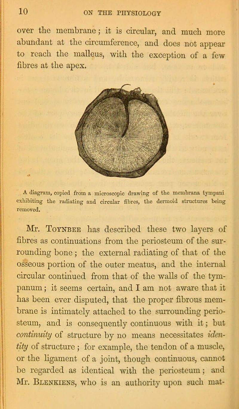 over the membrane; it is circular, and much more abundant at the circumference, and does not appear to reach the malleus, with the exception of a few fibres at the apex. A diagram, copied from a microscopic drawing of the membrana tympani exhibiting the radiating and circular fibres, the dermoid structures being removed. Mr. Toynbee has described these two layers of fibres as continuations from the periosteum of the sur- rounding bone ; the external radiating of that of the osseous portion of the outer meatus, and the internal circular continued from that of the walls of the tym- panum ; it seems certain, and I am not aware that it has been ever disputed, that the proper fibrous mem- brane is intimately attached to the surrounding perio- steum, and is consequently continuous with it; but continuity of structure by no means necessitates iden- tity of structure ; for example, the tendon of a muscle, or the ligament of a joint, though continuous, camiot be regarded as identical with the periosteum; and Mr. Blenkiens, who is an authority upon such mat-