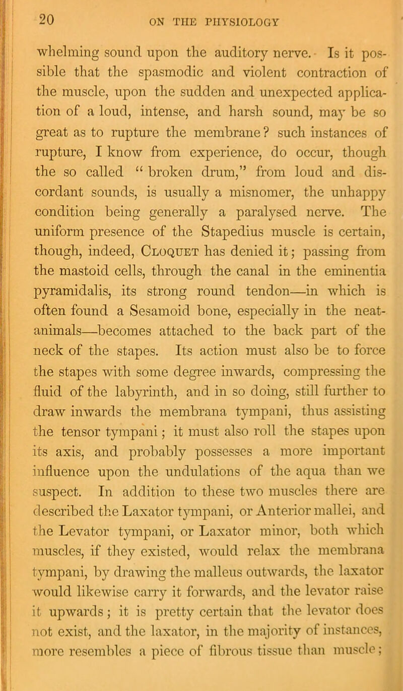 whelming sound upon the auditory nerve. Is it pos- sible that the spasmodic and violent contraction of the muscle, upon the sudden and unexpected applica- tion of a loud, intense, and harsh sound, may be so great as to rupture the membrane ? such instances of rupture, I know from experience, do occur, though the so called “ broken drum,” from loud and dis- cordant sounds, is usually a misnomer, the unhappy condition being generally a paralysed nerve. The uniform presence of the Stapedius muscle is certain, though, indeed, Cloquet has denied it; passing from the mastoid cells, through the canal in the eminentia pyramidalis, its strong round tendon—in which is often found a Sesamoid bone, especially in the neat- animals—becomes attached to the back part of the neck of the stapes. Its action must also be to force the stapes with some degree inwards, compressing the fluid of the labyrinth, and in so doing, still further to draw inwards the membrana tympani, thus assisting the tensor tympani; it must also roll the stapes upon its axis, and probably possesses a more important influence upon the undulations of the aqua than we suspect. In addition to these two muscles there are described the Laxator tympani, or Anterior mallei, and the Levator tympani, or Laxator minor, both which muscles, if they existed, would relax the membrana tympani, by drawing the malleus outwards, the laxator would likewise carry it forwards, and the levator raise it upwards; it is pretty certain that the levator does not exist, and the laxator, in the majority of instances, more resembles a piece of fibrous tissue than muscle;