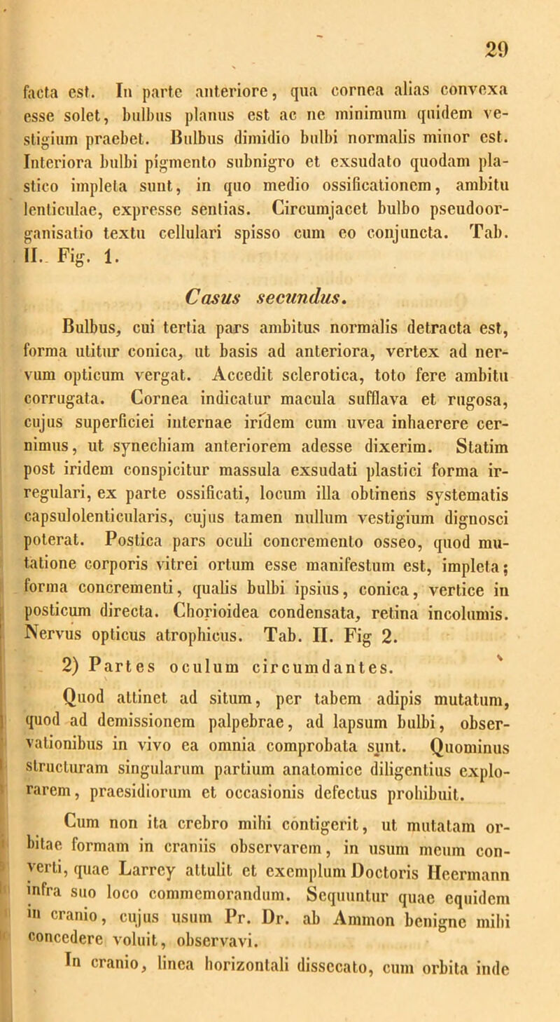 20 facta est. In parte anteriore, qua cornea alias convexa esse solet, bulbus planus est ac ne minimum quidem ve- stigium praebet. Bulbus dimidio bulbi normalis minor est. Interiora bulbi pigmento subnigro et exsudato quodam pla- stico impleta sunt, in quo medio ossificationem, ambitu lenticulae, expresse sentias. Circumjacet bulbo pseudoor- ganisatio textu cellulari spisso cum eo conjuncta. Tab. II. Fig. 1. Casus secundus. Bulbus, cui tertia pars ambitus normalis detracta est, forma utitur conica, ut basis ad anteriora, vertex ad ner- vum opticum vergat. Accedit sclerotiea, toto fere ambitu corrugata. Cornea indicatur macula sufflava et rugosa, cujus superficiei internae iridem cum uvea inhaerere cer- nimus, ut synechiam anteriorem adesse dixerim. Statim post iridem conspicitur massula exsudati plastici forma ir- regulari, ex parte ossificati, locum illa obtinens systematis capsulolenticularis, cujus tamen nullum vestigium dignosci poterat. Postica pars oculi concremento osseo, quod mu- tatione corporis vitrei ortum esse manifestum est, impleta; forma concrementi, qualis bulbi ipsius, conica, vertice in posticum directa. Chorioidea condensata, retina incolumis. Nervus opticus atrophicus. Tab. II. Fig 2. 2) Partes ocul um circumdantes. Quod attinet ad situm, per tabem adipis mutatum, quod ad demissionem palpebrae, ad lapsum bulbi, obser- vationibus in vivo ea omnia comprobata sunt. Quominus structuram singularum partium anatomice diligentius explo- rarem, praesidiorum et occasionis defectus prohibuit. Cum non ita crebro mihi contigerit, ut mutatam or- bitae formam in craniis observarem, in usum meum con- verti, quae Larrcy attulit et exemplum Doctoris Ilccrmann infra suo loco commemorandum. Sequuntur quae equidem ni cranio, cujus usum Pr. Dr. ab Ammon benigne mihi concedere voluit, observavi. In cranio, linea horizontali dissecato, cum orbita inde