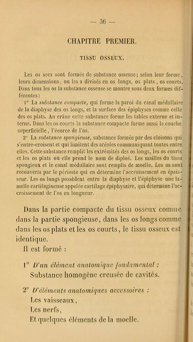 CHAPITRE PREMIER. TISSU OSSEUX. Les os secs sont formes de substance osseuse; selon leur forme, leurs dimensions, on les a divisés en os longs, os plats , os courts. Dans tous les os la substance osseuse se montre sous deux formes dif- férentes : 1° La substance compacte, qui forme la paroi du canal médullaire de la diaphyse des os longs, et la surface des épiphyses comme celle des os plats. Au crâne celte substance forme les tables externe cl in- terne. Dans les os courts la substance compacte forme aussi la couche superficielle, l’écorce de l’os. 20 La substance spongieuse, substance formée par des cloisons qui s’enlre-croisent et qui limitent des aréoles communiquant toutes entre elles. Cette substance remplit les extrémités des os longs, les os courts cl les os plats où elle prend le nom de diploé. Les mailles du tissu spongieux et le canal médullaire sont remplis de moelle. Les os sont recouverts par le périoste qui en détermine l’accroissement en épais- seur. Les os longs possèdent entre la diaphyse et l’épiphvsc une la- melle cartilagineuse appelée cartilage épiphysaire, qui détermine l’ac- croissement de l’os en longueur. Dans la partie compacte du tissu osseux comme dans la partie spongieuse, dans les os longs comme dans les os plats et les os courts, le tissu osseux est identique. Il est formé : 1° D’un élément anatomique fondamental : Substance homogène creusée de cavités. 2° D’éléments anatomiques accessoires : Ecs vaisseaux, Les nerfs, Et quelques éléments de la moelle.