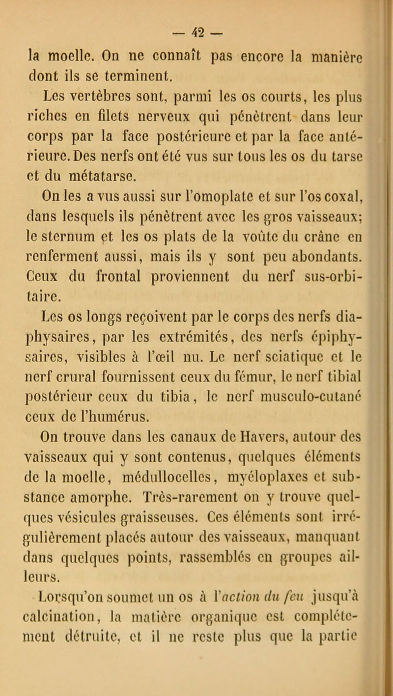 la moelle. On ne connaît pas encore la manière dont ils se terminent. Les vertèbres sont, parmi les os courts, les plus riches en filets nerveux qui pénètrent clans leur corps par la face postérieure et par la face anté- rieure. Des nerfs ont été vus sur tous les os du tarse et du métatarse. On les a vus aussi sur l’omoplate et sur l’os coxal, dans lesquels ils pénètrent avec les gros vaisseaux; le sternum et les os plats de la voûte du crâne en renferment aussi, mais ils y sont peu abondants. Ceux du frontal proviennent du nerf sus-orbi- taire. Les os longs reçoivent par le corps des nerfs dia- physaires, par les extrémités, des nerfs épiphy- saircs, visibles à l’œil nu. Le nerf sciatique et le nerf crural fournissent ceux du fémur, le nerf tibial postérieur ceux du tibia, le nerf musculo-cutané ceux de l’humérus. On trouve dans les canaux de Havers, autour des vaisseaux qui y sont contenus, quelques éléments de la moelle, médulloccllcs, myéloplaxes et sub- stance amorphe. Très-rarement on y trouve quel- ques vésicules graisseuses. Ces éléments sont irré- gulièrement placés autour des vaisseaux, manquant dans quelques points, rassemblés en groupes ail- leurs. Lorsqu’on soumet un os à l'action du feu jusqu’à calcination, la matière organique est complète- ment détruite, et il ne reste plus que la partie