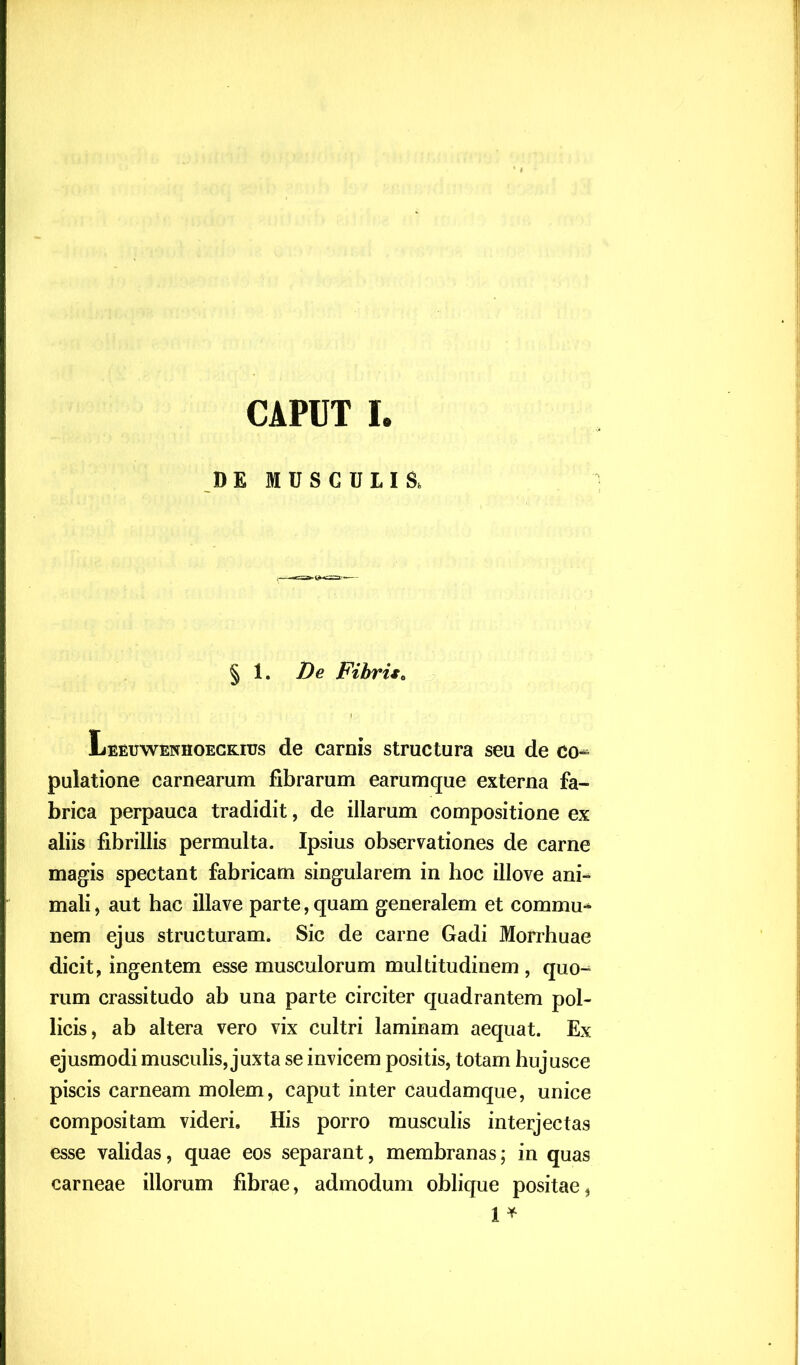 CAPUT I. DE MDSGDLIS. § 1. De Fibris. Leeuwenhoeckius de carnis structura seu de co- pulatione carnearum fibrarum earumque externa fa- brica perpauca tradidit, de illarum compositione ex aliis fibrillis permulta. Ipsius observationes de carne magis spectant fabricam singularem in hoc illove ani- mali, aut hac illave parte, quam generalem et commu- nem ejus structuram. Sic de carne Gadi Morrhuae dicit, ingentem esse musculorum multitudinem , quo- rum crassitudo ab una parte circiter quadrantem pol- licis, ab altera vero vix cultri laminam aequat. Ex ejusmodi musculis, juxta se invicem positis, totam hujusce piscis carneam molem, caput inter caudamque, unice compositam videri. His porro musculis interjectas esse validas, quae eos separant, membranas; in quas carneae illorum fibrae, admodum oblique positae, 1 *