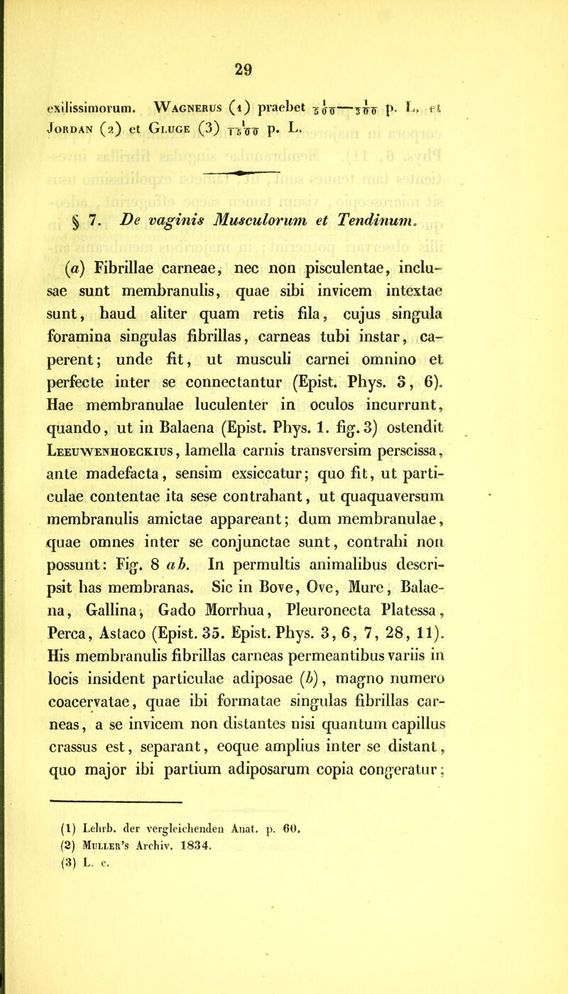 exilissimorum. Wagnerus (i) praebet p. L. et JoRDAN (2) et Gi.UGE (3) TsW P* L. §7. De vaginis Musculorum et Tendinum. (a) Fibrillae carneae, nec non pisculentae, inclu- sae sunt membranulis, quae sibi invicem intextae sunt, haud aliter quam retis fila, cujus singula foramina singulas fibrillas, carneas tubi instar, ca- perent ; unde fit, ut musculi carnei omnino et perfecte inter se connectantur (Epist. Phys. 3, 6). Hae membranulae luculenter in oculos incurrant, quando, ut in Balaena (Epist. Phys. 1. fig.3) ostendit Leeuwenhoeckius , lamella carnis transversim perscissa, ante madefacta, sensim exsiccatur; quo fit, ut parti- culae contentae ita sese contrahant, ut quaquaversum membranulis amictae appareant; dum membranulae, quae omnes inter se conjunctae sunt, contrahi non possunt: Fig. 8 ab. In permultis animalibus descri- psit has membranas. Sic in Bove, Ove, Mure, Balae- na , Gallina, Gado Morrhua, Pleuronecta Platessa, Perca, Astaco (Epist. 35. Epist. Phys. 3, 6, 7, 28, 11). His membranulis fibrillas carneas permeantibus variis in locis insident particulae adiposae (b), magno numero coacervatae, quae ibi formatae singulas fibrillas car- neas, a se invicem non distantes nisi quantum capillus crassus est, separant, eoque amplius inter se distant, quo major ibi partium adiposarum copia congeratur; (1) Lehrb. der vergleichenden Anat. p. 60. (2) Mtjller’s Arehiv. 1834. {3) L. c.