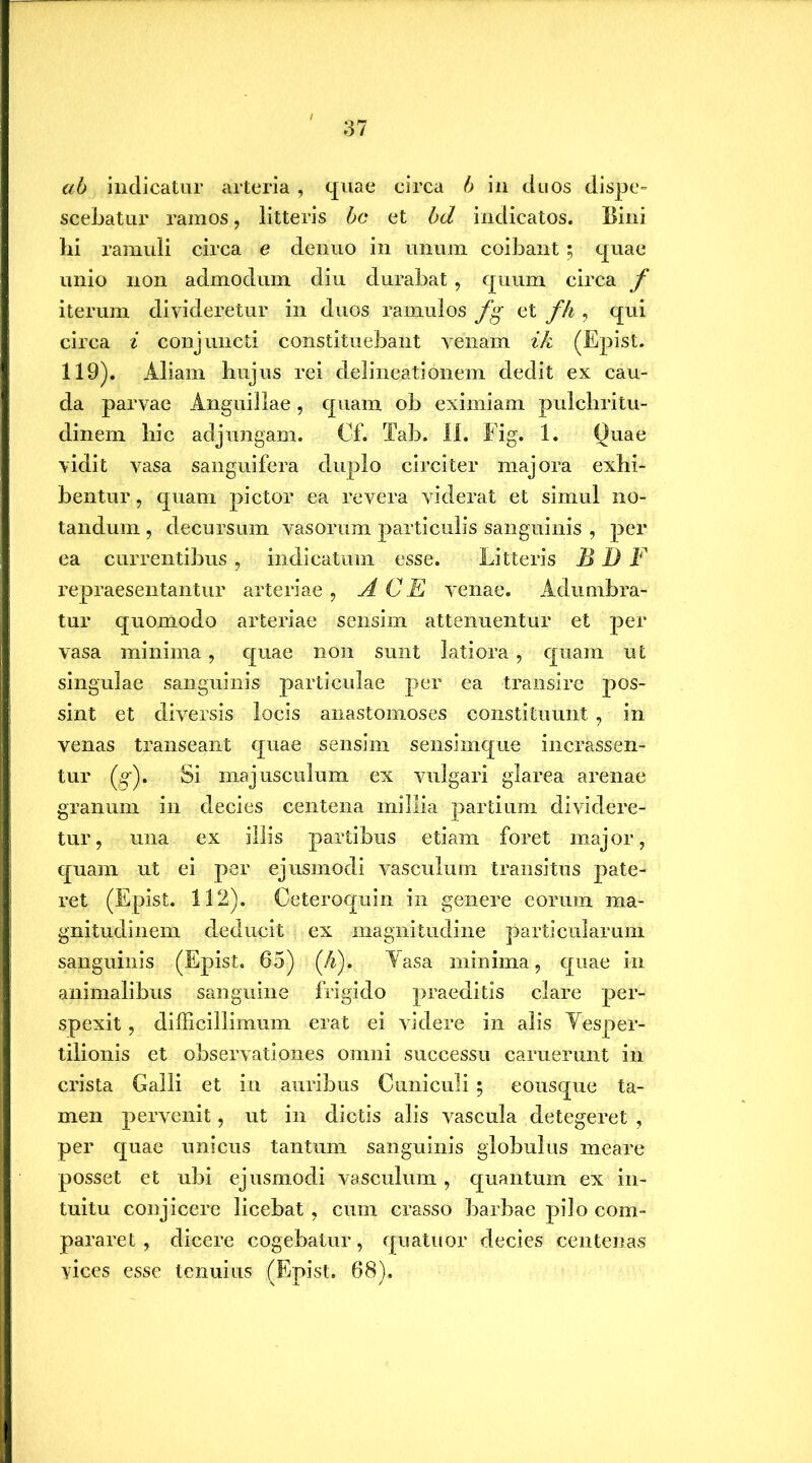 scebatur ramos, litteris bc et bd indicatos. Bini lii ramuli circa e denuo in unum coibant; quae unio non admodum diu durabat, quum circa f iterum divideretur in duos ramulos fg et fh , qui circa i conjuncti constituebant venam ik (Epist. 119). Aliam hujus rei delineationem dedit ex cau- da parvae Anguillae, quam ob eximiam pulchritu- dinem hic adjungam. Of. Tab. II. Fig. 1. Quae vidit vasa sanguifera duplo circiter majora exhi- bentur , quam pictor ea revera viderat et simul no- tandum , decursum vasorum particulis sanguinis , per ea currentibus , indicatum esse. Litteris B D F repraesentantur arteriae , ACE venae. Adumbra- tur quomodo arteriae sensim attenuentur et per vasa minima, quae non sunt latiora, quam ut singulae sanguinis particulae per ea transire pos- sint et diversis locis anastomoses constituunt , in venas transeant quae sensim sensimque incrassen- tur (g*). Si majusculum ex vulgari glarea arenae granum in decies centena millia partium dividere- tur, una ex illis partibus etiam foret major, quam ut ei per ejusmodi vasculum transitus pate- ret (Epist. 112). Ceteroquin in genere eorum ma- gnitudinem deducit ex magnitudine particularum sanguinis (Epist. 65) (A). Vasa minima, quae in animalibus sanguine frigido praeditis clare per- spexit , difficillimum erat ei videre in alis Vesper- tilionis et observationes omni successu camerant in crista Galli et in auribus Cuniculi; eousque ta- men pervenit, ut in dictis alis vascula detegeret , per quae unicus tantum sanguinis globulus meare posset et ubi ejusmodi vasculum, quantum ex in- tuitu conjicere licebat , cum crasso barbae pilo com- pararet , dicere cogebatur, quatuor decies centenas vices esse tenuius (Epist. 68),
