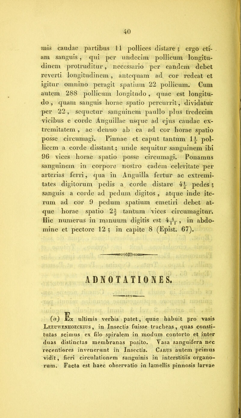 mis caudae partibus 11 pollices distare ; ergo eti- am sanguis , qui per undecim pollicum longitu- dinem protruditur, necessario per eandem debet reverti longitudinem, antequam ad cor redeat et igitur omnino peragit spatium 22 pollicum. Cum autem 288 pollicum longitudo, quae est longitu- do , quam sanguis horae spatio percurrit, dividatur per 22, sequetur sanguinem paullo plus tredecim vicibus e corde Anguillae usque ad ejus caudae ex- tremitatem , ac denuo ab ea ad cor horae spatio posse circumagi. Pinnae et caput tantum II pol- licem a corde disstant; unde sequitur sanguinem ibi 96 vices horae spatio posse circumagi. Ponamus sanguinem in corpore nostro eadem celeritate per arterias ferri 9 qua in Anguilla fertur ac extremi- tates digitorum pedis a corde distare 41 pedes ; sanguis a corde ad pedum digitos , atque inde ite- rum ad cor 9 pedum spatium emetiri debet at- que horae spatio 21 tantum vices circumagitur. Hic numerus in manuum digitis est 4T4T , in abdo- mine et pectore 12 ; in capite 8 (Epist. 67). ADN0TATI0NES. (a) UDx ultimis verbis patet, quae habuit pro vasis Leeuwejshoeckius , in Insectis fuisse tracheas , quas consti- tutas scimus ex filo spiralem in modum contorto et inter duas distinctas membranas posito. Tasa sanguifera nec recentieres invenerunt in Insectis. Carus autem primus vidit, fieri circulationem sanguinis in interstitiis organo- rum. Facla est haec observatio in lamellis pinnosis larvae