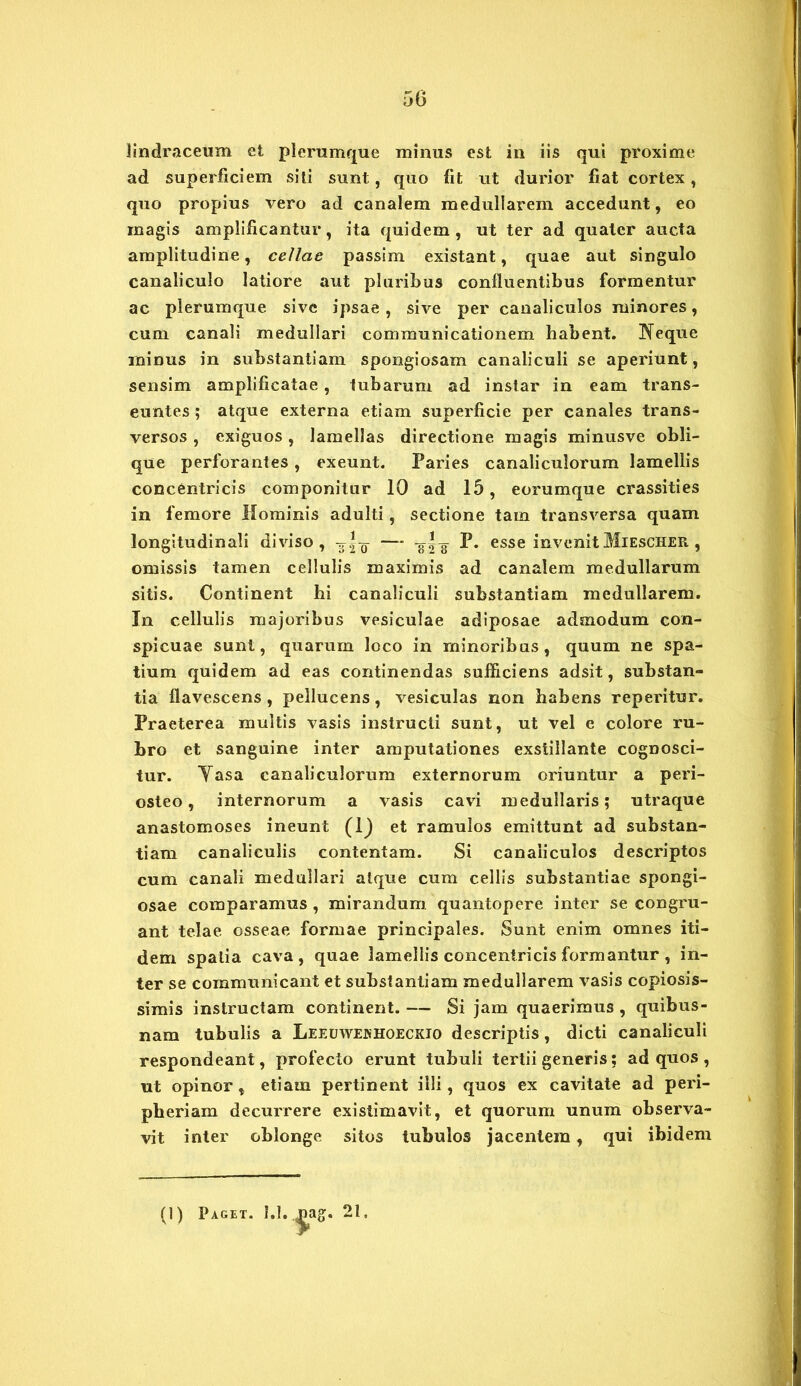lindraceum et plerumque minus est in iis qui proxime ad superficiem siti sunt, quo fit ut durior fiat cortex, quo propius vero ad canalem medullarem accedunt, eo magis amplificantur, ita quidem, ut ter ad quater aucta amplitudine, cellae passim existant, quae aut singulo canaliculo latiore aut pluribus confluentibus formentur ac plerumque sive ipsae , sive per canaliculos minores, cum canali medullari communicationem habent. Neque minus in substantiam spongiosam canaliculi se aperiunt, sensim amplificatae, tubarum ad instar in eam trans- euntes ; atque externa etiam superficie per canales trans- versos , exiguos, lamellas directione magis minusve obli- que perforantes, exeunt. Paries canaliculorum lamellis concentricis componitur 10 ad 15, e orumque crassities in femore Hominis adulti, sectione tam transversa quam longitudinali diviso, yl-g- —* -g|-g P. esse invenit Miescher , omissis tamen cellulis maximis ad canalem medullarum sitis. Continent hi canaliculi substantiam medullarem. In cellulis majoribus vesiculae adiposae admodum con- spicuae sunt, quarum loco in minoribus, quum ne spa- tium quidem ad eas continendas sufficiens adsit, substan- tia flavescens , pellucens, vesiculas non habens reperitur. Praeterea multis vasis instructi sunt, ut vel e colore ru- bro et sanguine inter amputationes exstillante cognosci- tur. Yasa canaliculorum externorum oriuntur a peri- osteo, internorum a vasis cavi medullaris; utraque anastomoses ineunt (1) et ramulos emittunt ad substan- tiam canaliculis contentam. Si canaliculos descriptos cum canali medullari atque cum cellis substantiae spongi- osae comparamus, mirandum quantopere inter se congru- ant telae osseae formae principales. Sunt enim omnes iti- dem spatia cava, quae lamellis concentricis formantur , in- ter se communicant et substantiam medullarem vasis copiosis- simis instructam continent. — Si jam quaerimus , quibus- nam tubulis a Leeuwejnhoeckio descriptis, dicti canaliculi respondeant, profecto erunt tubuli tertii generis; ad quos , ut opinor, etiam pertinent illi, quos ex cavitate ad peri- pberiam decurrere existimavit, et quorum unum observa- vit inter oblonge sitos tubulos jacentem, qui ibidem (1) Paget. f.I.nag. 21,