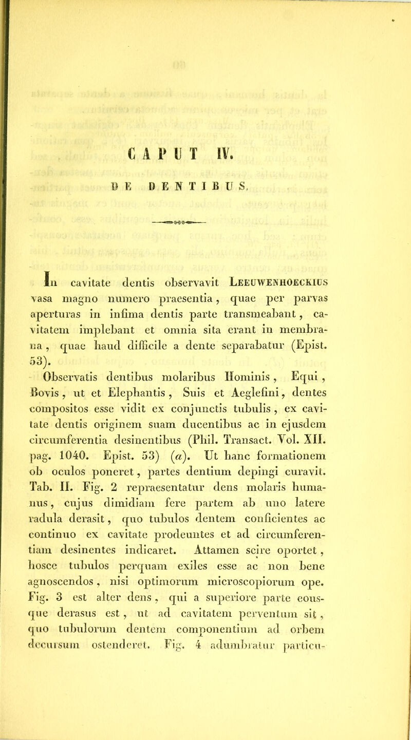IS E DENTIBUS, In cavitate dentis observavit LEEtJWENHOECKltJS vasa magno numero praesentia, quae per parvas aperturas in infima dentis parte transmeabant, ca- vitatem implebant et omnia sita erant in membra- na , cjuae baud difficile a dente separabatur (Epist. 53)- Observatis dentibus molaribus Hominis , Equi , Bovis ? ut et Elephantis , Suis et Aeglefini ? dentes compositos esse vidit ex conjunctis tubulis ? ex cavi- tate dentis originem suam ducentibus ac in ejusdem circumferentia desinentibus (Fliil. Transact. Yol. XII. pag. 1040. Epist. 53) (a). Ut hanc formationem ob oculos poneret, partes dentium depingi curavit. Tab. II. Fig. 2 repraesentatur dens molaris huma- nus, cujus dimidiam fere partem ab uno latere radula derasit, quo tubulos dentem conficientes ac continuo ex cavitate prodeuntes et ad circumferen- tiam desinentes indicaret. Attamen scire oportet , hosce tubulos perquam exiles esse ac non bene agnoscendos, nisi optimorum microscopiorum ope. Fig. 3 est alter dens , qui a superiore parte eous- que derasus est, ut ad cavitatem perventum sit ? quo tubulorum dentem componentium ad orbem decursum ostenderet. Fig. 4 adumbratur particu-