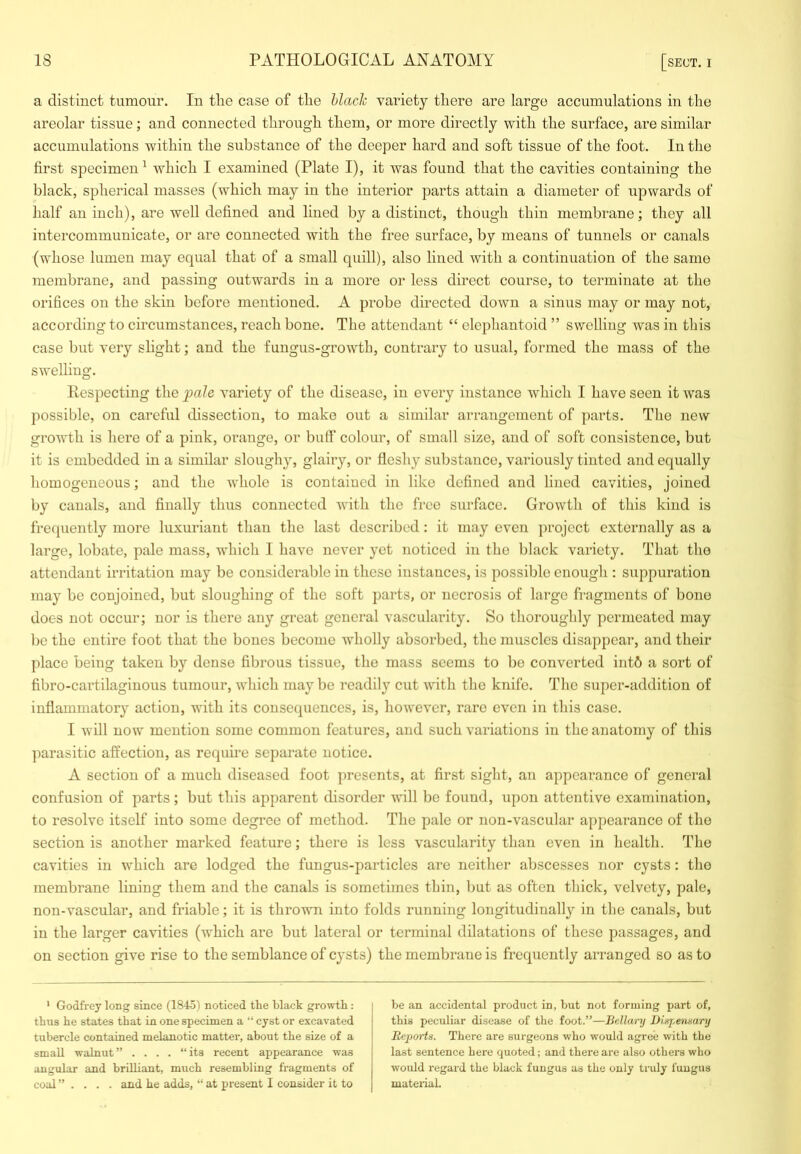 a distinct tumour. lu tlie case of tlie hlach variety there are large accumulations in the areolar tissue; and connected through them, or more directly with the surface, are similar accumulations within the substance of the deeper hard and soft tissue of the foot. In the first specimen^ which I examined (Plate I), it was found that the cavities containing the black, spherical masses (which may in the interior parts attain a diameter of upwards of half an inch), are well defined and lined by a distinct, though thin membrane; they all intercommunicate, or are connected with the free surface, by means of tunnels or canals (whose lumen may equal that of a small quill), also lined with a continuation of the same membrane, and passing outwards in a more or less direct course, to terminate at the orifices on the skin before mentioned. A probe directed down a sinus may or may not, according to circumstances, reach bone. The attendant “ elephantoid ” swelling was in this case but very slight; and the fungus-growth, contrary to usual, formed the mass of the swelling. Respecting the pale variety of the disease, in every instance which I have seen it was possible, on careful dissection, to make out a similar arrangement of parts. The new growth is here of a pink, orange, or buff colour, of small size, and of soft consistence, but it is embedded in a similar sloughy, glairy, or fleshy substance, variously tinted and equally homogeneous; and the Avhole is contained in like defined and lined cavities, joined by canals, and finally thus connected Avith the free surface. GroAvth of this kind is frequently more luxuriant than the last described: it may even ])roject externally as a large, lobate, pale mass, which I liaAm never yet noticed in the black variety. That the attendant irritation may be considerable in these instances, is possible enough : suppuration may be conjoined, but sloughing of the soft parts, or necrosis of large fragments of bone does not occur; nor is there any great general vascularity. So thoroughly permeated may be the entire foot that the bones become Avholly absorbed, the muscles disappear, and their place being taken by dense fibrous tissue, the mass seems to be conA^erted int6 a sort of fibro-cartilaginous tumour, AA'liich may be readily cut AA'ith the knife. The super-addition of inflammatory action, AA'ith its consequences, is, liOAveA'er, rare oven in this case. I Avill now mention some common features, and such A^ariations in the anatomy of this parasitic affection, as require separate notice. A section of a much diseased foot ])resents, at first sight, an appearance of general confusion of parts; but this apparent disorder Avill bo found, upon attentive examination, to resolve itself into some degree of method. The pale or non-vascular appearance of the section is another marked feature; there is less vascularity than even in health. The cavities in which are lodged the fungus-particles are neither abscesses nor cysts: the membrane lining them and the canals is sometimes thin, but as often thick, velvety, pale, non-A'ascular, and friable; it is thrown into folds running longitudinally in the canals, but in the larger cavities (AA'hich are but lateral or terminal dilatations of these passages, and on section gAe rise to the semblance of cysts) the membrane is frequently ai-ranged so as to ' Godfrey long since (184-5) noticed the black growth: thus he states that in one specimen a “ cyst or excavated tubercle contained melanotic matter, about the size of a small walnut” .... “its recent appearance was angular and brilliant, much resembling fragments of coal ” . . . . and he adds, “ at present I consider it to be an accidental product in, but not forming part of, this peculiar disease of the foot.”—Bellary Dixpensary Reports. There are surgeons who would agree with the last sentence here quoted; and there are also others who would regard the black fungus as the only truly fungus material.