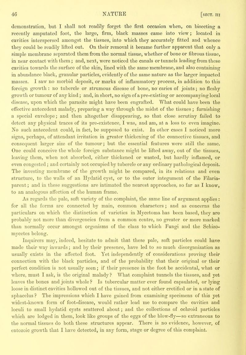 demonstration, but I sball not readily forget the first occasion when, on bisecting a recently amputated foot, the large, firm, black masses came into view; located in cavities interspersed amongst the tissues, into which they accurately fitted and whence they could be readily lifted out. On their removal it became further apparent that only a simple membrane separated them from the normal tissue, whether of bone or fibrous tissue, in near contact with them; and, next, were noticed the canals or tunnels leading from these cavities towards the surface of the skin, lined with the same membrane, and also containing in abundance black, granular particles, evidently of the same nature as the larger impacted masses. I saw no morbid deposit, or marks of inflammatory process, in addition to this foreign growth : no tubercle or strumous disease of bone, no caries of joints; no fleshy growth or tumour of any kind; and, in short, no sign of a pre-existing or accompanying local disease, upon which the parasite might have been engrafted. What could have been the effective antecedent malady, preparing a way through the midst of the tissues ; furnishing a special envelope; and then altegether disappearing, so that close scrutiny failed to detect any physical traces of its pre-existence, I was, and am, at a loss to even imagine. No such antecedent could, in fact, be supposed to exist. In other cases I noticed more signs, perhaps, of attendant irritation in greater thickening of the connective tissues, and consequent larger size of the tumour; but the essential features were still the same. One could conceive the whole foreign substance might be lifted away, out of the tissues, leaving them, when not absorbed, either thickened or wasted, but hardly inflamed, or even congested; and certainly not occupied by tubercle or any ordinary pathological deposit. The investing membrane of the growth might be compared, in its relations and even structure, to the walls of an Hydatid cyst, or to the outer integument of the Filaria- parent; and in these suggestions are intimated the nearest approaches, so far as I know, to an analosrous affection of the human frame. O As regards the pale, soft variety of the complaint, the same line of argument applies: for all the forms are connected by main, common characters ; and as concerns the particulars on which the distinction of A’arieties in Mycetoma has been based, they are probably not more than divergencies from a common centre, no greater or more marked than normally occur amongst organisms of the class to which Fungi and the Schizo- mycetes belong. Inquirers may, indeed, hesitate to admit that these pale, soft particles could have made their way inwards; and by their presence, have led to so much disorganization as usually exists in the affected foot. Yet independently of considerations proving their connection with the black particles, and of the probability that their original or their perfect condition is not usually seen; if their presence in the foot be accidental, what or where, must I ask, is the original malady ? What complaint tunnels the tissues, and yet leaves the bones and joints whole ? Is tubercular matter ever found capsulated, or lying loose in distinct cavities hollowed out of the tissues, and not either cretified or in a state of sphacelus ? The impressions which I have gained from examining specimens of this yet widest-known form of foot-disease, would rather lead me to compare the cavities and loculi to small hydatid cysts scattered about; and the collections of ochroid particles which are lodged in them, look hke groups of the eggs of the blow-fly—so extraneous to the normal tissues do both these structures appear. There is no evidence, however, of entozoic growth that I have detected, in any form, stage or degree of this complaint.