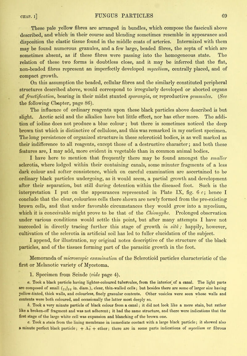 These pale yellow fibres are arranged in bundles, which compose the fasciculi above described, and which in their course and blending sometimes resemble in appearance and disposition the elastic tissue found in the middle coats of arteries. Intermixed with them may be found numerous granules, and a few large, beaded fibres, the septa of which are sometimes absent, as if these fibres were passing into the homogeneous state. The relation of these two forms is doubtless close, and it may be inferred that the flat, non-beaded fibres represent an imperfectly developed mycelium, centrally placed, and of compact growth. On this assumption the beaded, cellular fibres and the similarly constituted peripheral structures described above, would correspond to irregularly developed or aborted organs of fructification, bearing in their midst stunted sporangia, or reproductive gemmules. {See the following Ch«,pter, page 86). The influence of ordinary reagents upon these black particles above described is but slight. Acetic acid and the alkalies have but little effect, nor has ether more. The addi- tion of iodine does not produce a blue colour ; but there is sometimes noticed the deep brown tint which is distinctive of cellulose, and this was remarked in my earliest specimen. The long persistence of organized structure in these sclerotioid bodies, is as well marked as their indifference to all reagents, except those of a destructive character; and both these features are, I may add, more evident in vegetable than in common animal bodies. I have here to mention that frequently there may be found amongst the smaller sclerotia, where lodged within their containing canals, some minuter fragments of a less dark colour and softer consistence, which on careful examination are ascertained to be ordinary black particles undergoing, as it would seem, a partial growth and development after their separation, but still during detention within the diseased foot. Such is the interpretation I put on the appearances represented in Plate IX, fig. 6 c; hence I conclude that the clear, colourless cells there shown are newly formed from the pre-existing brown cells, and that under favorable circumstances they would grow into a mycelium, which it is conceivable might prove to be that of the Chionyphe. Prolonged observation under various conditions would settle this point, but after many attempts I have not succeeded in directly tracing further this stage of growth in situ; happily, however, cultivation of the sclerotia in artificial soil has led to fuller elucidation of the subject. I append, for illustration, my original notes descriptive of the structure of the black particles, and of the tissues forming part of the parasitic growth in the foot. Memoranda of microscopic examination of the Sclerotioid particles characteristic of the first or Melanotic variety of Mycetoma. 1. Specimen from Scinde {vide page 4). a. Took a black particle having lighter-coloured tuhefcules, from the interior] of a canal. The light parts are composed of small in. diam.), clear, thin-walled cells; hut besides there are some of larger size having yellow-tinted, thick walls, and colourless, finely granular contents. Other vesicles were seen whose walls and contents were both coloured, and occasionally the latter most deeply so. h. Took a very minute particle of black colour from a canal; it did not look like a mere stain, hut rather like a broken-off fragment and was not adherent; it had the same structure, and there were indications that the first stage of the large white cell was expansion and blanching of the brown one. c. Took a stain from the lining membrane in immediate contact with a large black particle; it showed also a minute perfect black particle; + Ac + ether; there are in some parts indications of mycelium or fibrous