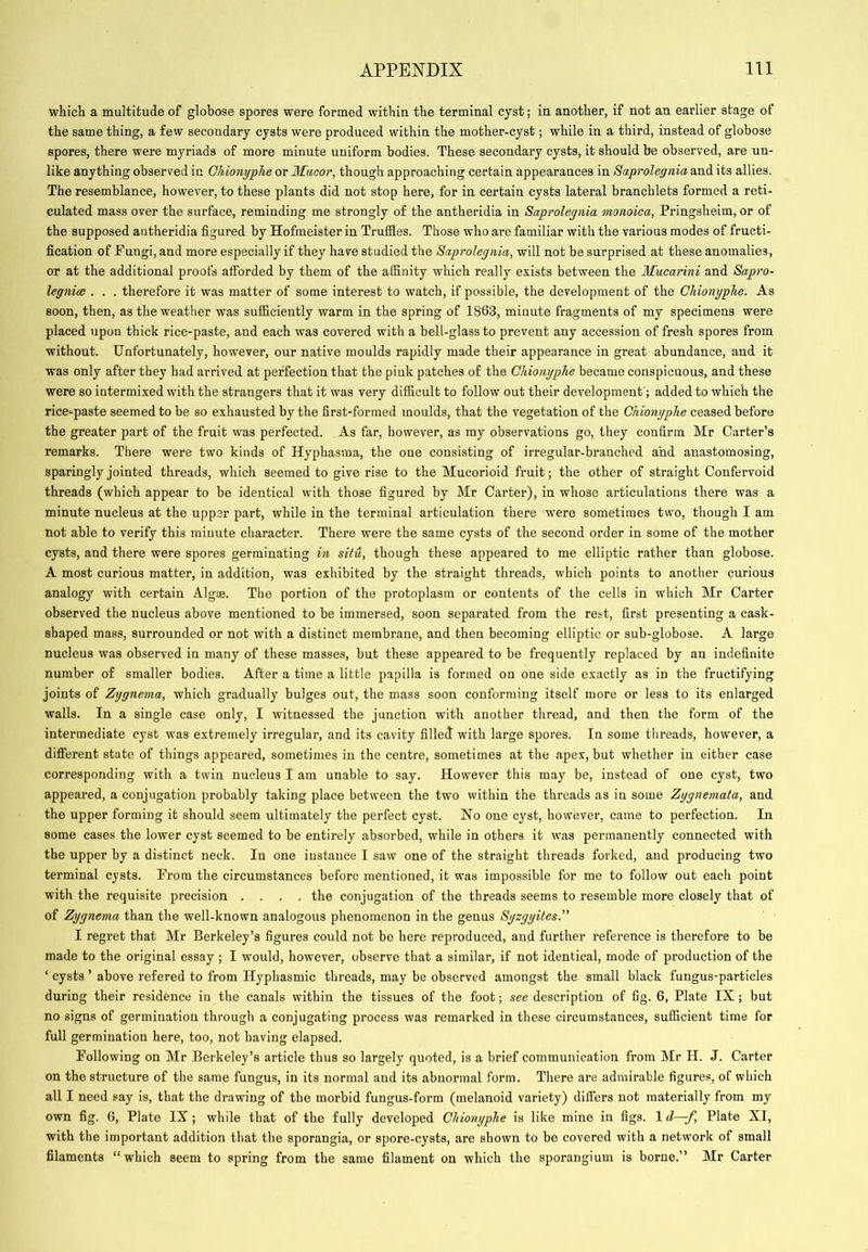 which a multitude of globose spores were formed within the terminal cyst; in another, if not an earlier stage of the same thing, a few secondary cysts were produced within the mother-cyst; while in a third, instead of globose spores, there were myriads of more minute uniform bodies. These secondary cysts, it should be observed, are un- like anything observed in Chionyplie or Muoor, though approaching certain appearances in Saprolegnia and its allies. The resemblance, however, to these plants did not stop here, for in certain cysts lateral branchlets formed a reti- culated mass over the surface, reminding me strongly of the antheridia in Saprolegnia monoica, Pringsheim, or of the supposed antheridia figured by Hofmeister in Truffles. Those who are familiar with the various modes of fructi- fication of Fungi, and more especially if they have studied the Saprolegnia, will not be surprised at these anomalies, or at the additional proofs afforded by them of the affinity which really exists between the Muearini and Sapro- legnice . . . therefore it was matter of some interest to watch, if possible, the development of the Chionyplie. As soon, then, as the weather was sufficiently warm in the spring of 1863, minute fragments of my specimens were placed upon thick rice-paste, and each was covered with a bell-glass to prevent any accession of fresh spores from without. Unfortunately, however, our native moulds rapidly made their appearance in great abundance, and it was only after they had arrived at perfection that the pink patches of the Chionyphe became conspicuous, and these were so intermixed with the strangers that it was very difficult to follow out their development; added to which the rice*paste seemed to be so exhausted by the first-formed moulds, that the vegetation of the Chionyphe ceased before the greater part of the fruit was perfected. As far, however, as my observations go, they confirm Mr Carter’s remarks. There were two kinds of Hyphasma, the one consisting of irregular-branched and anastomosing, sparingly jointed threads, which seemed to give rise to the Mucorioid fruit; the other of straight Confervoid threads (which appear to be identical with those figured by Mr Carter), in whose articulations there was a minute nucleus at the upper part, while in the terminal articulation there were sometimes two, though I am not able to verify this minute character. There were the same cysts of the second order in some of the mother cysts, and there were spores germinating in situ, though these appeared to me elliptic rather than globose. A most curious matter, in addition, was exhibited by the straight threads, which points to another curious analogy with certain Algas. The portion of the protoplasm or contents of the cells in which Mr Carter observed the nucleus above mentioned to be immersed, soon separated from the rest, first presenting a cask- shaped mass, surrounded or not with a distinct membrane, and then becoming elliptic or sub-globose. A large nucleus was observed in many of these masses, but these appeared to be frequently replaced by an indefinite number of smaller bodies. After a time a little papilla is formed on one side exactly as in the fructifying joints of Zygnema, which gradually bulges out, the mass soon conforming itself more or less to its enlarged walls. In a single case only, I witnessed the junction with another thread, and then the form of the intermediate cyst was extremely irregular, and its cavity filled with large spores. In some threads, however, a different state of things appeared, sometimes in the centre, sometimes at the apex, but whether in either case corresponding with a twin nucleus I am unable to say. However this may be, instead of one cyst, two appeared, a conjugation probably taking place between the two within the threads as in some Zygnemata, and the upper forming it should seem ultimately the perfect cyst. No one cyst, however, came to perfection. In some cases the lower cyst seemed to be entirely absorbed, while in others it was permanently connected with the upper by a distinct neck. In one instance I saw one of the straight threads forked, and producing two terminal cysts. From the circumstances before mentioned, it was impossible for me to follow out each point with the requisite precision .... the conjugation of the threads seems to resemble more closely that of of Zygnema than the well-known analogous phenomenon in the genus Syzgyites. I regret that Mr Berkeley’s figures could not be here rejjroduced, and further reference is therefore to be made to the original essay ; I would, however, observe that a similar, if not identical, mode of production of the ‘ cysts ’ above refered to from ITyphasmic threads, may be observed amongst the small black fungus-particles during their residence in the canals within the tissues of the foot; see description of fig. 6, Plate IX; but no signs of germination through a conjugating process was remarked in these circumstances, sufficient time for full germination here, too, not having elapsed. Following on Mr Berkeley’s article thus so largely quoted, is a brief communication from Mr H. J. Carter on the structure of the same fungus, in its normal and its abnormal form. There are admirable figures, of which all I need say is, that the drawing of the morbid fungus-form (melanoid variety) differs not materially from my own fig. 6, Plate IX ; while that of the fully developed Chionyphe is like mine in figs. 1 d—f, Plate XI, with the important addition that the sporangia, or spore-cysts, are shown to be covered with a network of small filaments “which seem to spring from the same filament on which the sporangium is borne.” Mr Carter