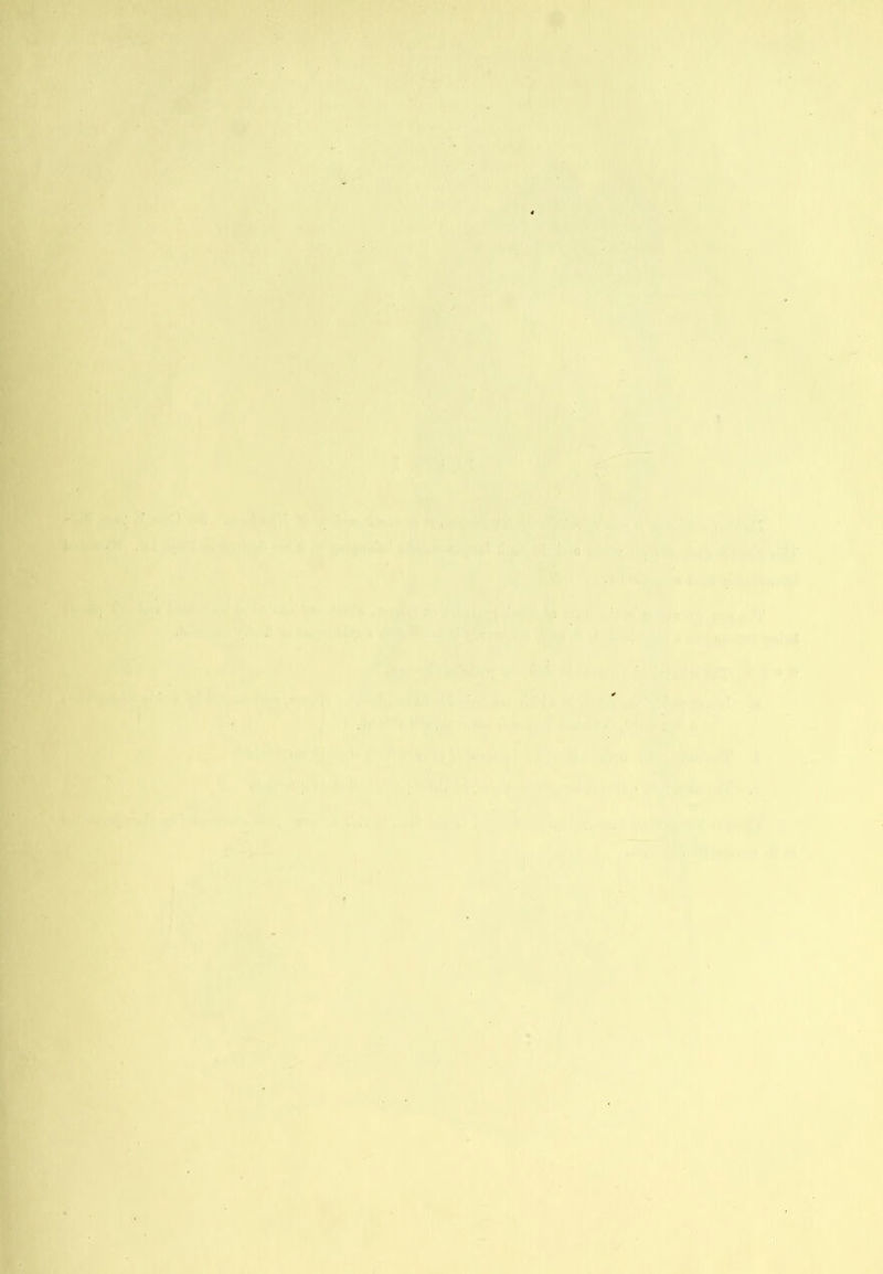 - X .I- * \ . ^ .1 s . i ^ Iv 'i .... sstrf