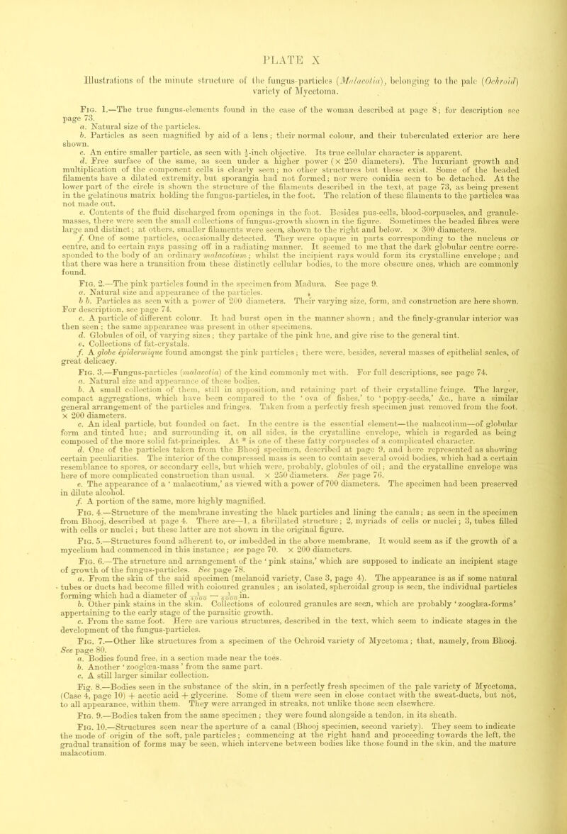 Illustrations of the niimite structure of the fungus-particles {^[^llacol■ia), belonging to the ])ale [OcJtro'ul) variety of Mycetoma. Fig. 1.—The true fungus-elements found in the case of the woman described at page 8; for description see page 73. a. Natural size of the particles. b. Particles as seen magnified hy aid of a lens; their normal colour, and their tuberculated exterior are here shown. c. An entire smaller pai’ticle, as seen with ^-inch objective. Its true cellular character is apparent. d. Free surface of the same, as seen under a higher power (X 250 diameters). The luxuriant growth and multiplication of the component cells is clearly seen; no other structiu’es but these exist. Some of the beaded filaments have a dilated extremity, but sporangia had not formed; nor were conidia seen to be detached. At the lower part of the circle is shown the structure of the filaments desci'ibed in the text, at page 73, as being ju’esent in the gelatinous matrix holding the fungus-particles, in the foot. The relation of these filaments to the particles was not made out. e. Contents of the fluid discharged from openings in the foot. Besides pus-cells, blood-corpuscles, and gi-anule- raasses, there were seen the small collections of fungus-growth shown in the figure. Sometimes the beaded fibres were large and distinct; at others, smaller filaments were seen, shown to the right and below. X 300 diameters. /. One of some particles, occasionally detected. They were opaque in parts corresponding to the nucleus or centre, and to certain rays passing oft’ in a radiating manner. It seemed to me that the dark globular centi’e corre- sponded to the body of an ordinary malacotnim; whilst the incipient rays would form its crystalline envelope; and that there was here a transition from these distinctly cellular bodies, to the more obscure ones, which are commonly found. Fig. 2.—The pink particles found in the specimen from Madura, See page 9. a. Natural size and appearance of the particles. . h h. Particles as seen with a power of 200 diameters. Their varying size, form, and construction are here shown. For description, see page 74. c. A particle of difl'erent colour. It had burst open in the manner shown; and the fincly-granular interior was then seen ; the same appearance was present in other specimens. d. Globules of oil, of varying sizes ; they partake of the pink hue, and give rise to the general tint. c. Collections of fat-crystals. /. A globe epiderniigue found amongst the pink jiarticles; there were, besides, several masses of epithelial scales, of great delicacy. Fig. 3.—Fungus-particles (malacotia) of the kind commonly met with. For full descriptions, see page 74. o. Natural size and appearance of these bodies. b. A small collection of them, still in apposition, and retaining part of their crystalline fringe. The larger, compact aggregations, which have been compared to the ‘ ova of fishes,’ to ‘ poppy-seeds,’ &c., have a similar general aii’angement of the particles and fringes. Taken from a perfectly fresh specimen just removed from the foot. X 200 diameters. c. An ideal particle, but founded on fact. In the centre is the essential element—the malacotium—of globular foiTU and tinted hue; and surrounding it, on all sides, is the crystalline envelope, which is regarded as being composed of the more solid fat-principles. At * is one of these fatty coi’puscles of a complicated character. d. One of the particles taken from the Bhooj specimen, described at page 9, and here represented as showing certain peculiai-ities. The interior of the compressed mass is seen to contain several ovoid bodies, which had a certain resemblance to spores, or secondary cells, but which were, probably, globules of oil; and the crystalline envelope was here of more complicated constiniction than usual. X 250 diameters. See page 7G. e. The appearance of a ‘ malacotium,’ as viewed with a power of 700 diameters. The specimen had been preserved in dilute alcohol. /. A portion of the same, more highly magnified. Fig. 4.—Structure of the membrane investing the black particles and lining the canals; as seen in the specimen from Bhooj, described at page 4. There are—1, a fibrillated structure; 2, myriads of cells or nuclei; 3, tubes filled with cells or nuclei; but these latter are not shown in the original figure. Fig. 5.—Stnictures found adherent to, or imbedded in the above membrane. It would seem as if the growth of a mycelium had commenced in this instance; see page 70. X 200 diameters. Fig. 6.—The structure and arrangement of the ‘ pink stains,’ which are supposed to indicate an incipient stage of growth of the fungus-particles. See page 78. a. From the skin of the said specimen (melanoid variety, Case 3, page 4). The appearance is as if some natural tubes or ducts had become filled with coloured granules ; an isolated, spheroidal group is seen, the individual particles forming which had a diameter of — lioVo b. Other pink stains in the skin. Collections of coloured granules are seen, which are probably ‘zooglaa-forms’ appertaining to the early stage of the parasitic growth. c. From the same foot. Here are various structures, described in the text, which seem to indicate stages in the development of the fungus-particles. Fig. 7.—Other like stnictures from a specimen of the Ochroid variety of Mycetoma; that, namely, from Bhooj. See page 80. a. Bodies found free, in a section made near the toes. b. Another ‘ zoogloea-mass ’ from the same part. c. A still larger similar collection. Fig. 8.—Bodies seen in the substance of the skin, in a perfectly fresh specimen of the pale variety of Mycetoma, (Case 4, page 10) acetic acid -(- glycerine. Some of them were seen in close contact with the sweat-ducts, but not, to all appearance, within them. They were an-anged in streaks, not unlike those seen elsewhere. Fig. 9.—Bodies taken from the same specimen; they were found alongside a tendon, in its sheath. Fig. 10.—Structures seen near the aperture of a canal (Bhooj specimen, second variety). They seem to indicate the mode of origin of the soft, pale particles; commencing at the right hand and proceeding towards the left, the gradual transition of forms may be seen, which intervene between bodies like those found in the skin, and the mature malacotium.