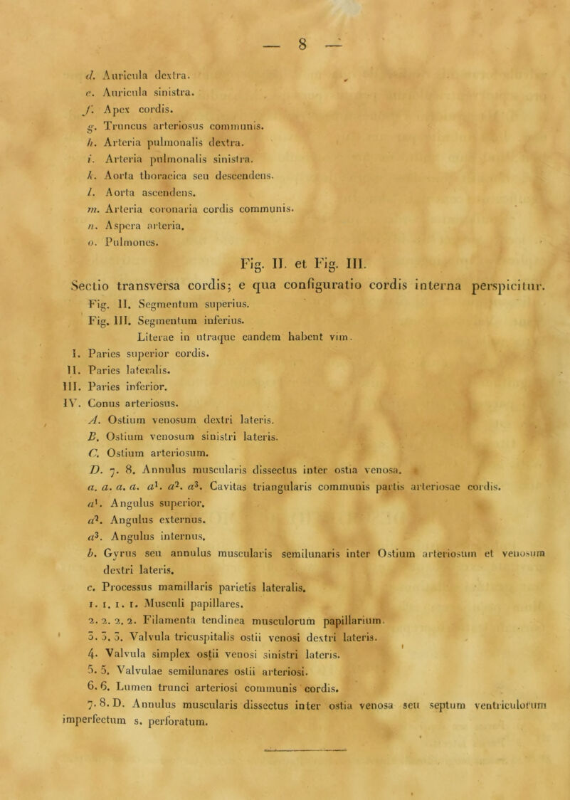</. Auricula dextra. ^ c. Auricula sinistra. _ ; /1 Apex cordis. g-. Truncus arteriosus comiminls. /i. Arteria pulmonalis dextra. i. Arteria pulmonalis sinistra. Aorta thoracica seu descendens. /. Aorta ascendens. m. Arteria coronaria cordis communis. ri. Aspera ai'leria. 0. Pulmones. Flg. II. et Fig. III. Sectio transversa cordis; e qua configuratio cordis interna perspicitur. Fig. II. Segmentum superius. Fig. III. Segmentum inferius. Literae in utraque eandem habent vim. I. Paries superior cordis. II. Pai 'ies lateralis. III. Pa ries inferior. IV. Conus arteriosus. yl. Ostium venosum dextri lateris. { B. Ostium venosum sinistri lateris. C. Ostium arteriosum. D. 7. 8. Annulus muscularis dissectus inter ostia venosa. а. a. a. a. aK a'^. a^. Cavitas triangularis communis partis arteriosae cordis, rt'. Angulus superior. Angulus externus. Angulus Internus. /f. Gyrus seu annulus muscularis semilunaris inter Ostium arteriosum et venosimi dextri lateris. c. Processus mamillaris parietis lateralis. 1. I. I. r. Musculi papillares. 2. 2. 2. 2. Filamenta tendinea musculorum papillarium. 5. 3. 3. Valvula tricuspitalis ostii venosi dextri lateris. 4. Valvula simplex ostii venosi sinistri lateris. 5. 5. Valvulae semilunares ostii arteriosi. б. 6. Lumen trunei arteriosi eommunis cordis. 7.8.D. Annulus muscularis dissectus inter ostia venosa seu septum ventriculorimi imperfectum s. perforatum.