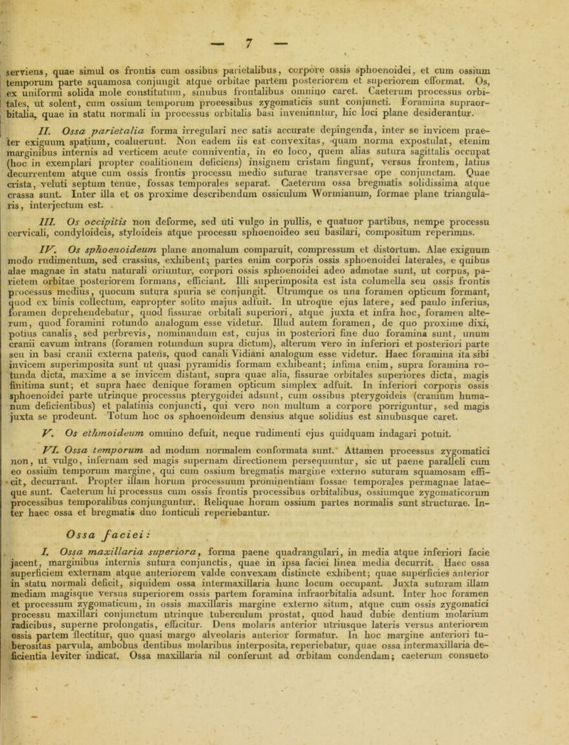 serviens, quae simul os frontis cum ossibus parietalibus, corpore ossis splioenoidei, et cum ossium temporum parte squamosa conjungit atque orbitae partem posteriorem et superiorem efformat. Os, i ex uniformi solida mole constitutum, sinubus frontalibus omnino caret. Caeterum processus orbi- I tales, ut solent, cum ossium temporum proeessibus zygomaticis sunt conjuncti. Foramina supraor- bitalia, quae in statu normali in processus orbitalis basi inveniuntur, hic loci plane desiderantur. II. Ossa parietalia forma irregulari nec satis accurate depingenda, inter se invicem prae- ter exiguum spatium, coaluerunt. Non eadem iis est convexitas, quam norma expostulat, etenim marginibus internis ad verticem acute conuiventia, in eo loco, quem alias sutura sagittalis occupat (hoc in exemplari propter coalitionem deliciens) insignem cristam fingunt, versus frontem, latius decurrentem atque cum ossis frontis processu medio suturae transversae ope conjunctam. Quae crista, veluti septum tenue, fossas temporales separat. Caeterum ossa bregmatis solidissima atque crassa sunt. Inter illa et os proxime describendum ossiculum Wormianum, formae plane triangula- ris, interjectum est. III. Os occipitis non deforme, sed uti vulgo in pullis, e quatuor partibus, nempe processu cervicali, condyloideis, styloideis atque processu splioenoideo seu basilari, compositum reperimus. IV. Os sphoenoideum plane anomalum comparuit, compressum et distortum. Alae exiguum modo rudimentum, sed crassius, exhibent; partes enim corporis ossis sphoenoidei laterales, e quibus alae magnae in statu naturali oriuntur, corpori ossis sphoenoidei adeo admotae sunt, ut corpus, pa- rietem orbitae posteriorem formans, efficiant. Illi superimposita est ista columella seu ossis frontis processus medius, quocum sutura spuria se conjungit. Utrumque os una foramen opticum formant, quod ex binis collectum, eapropter solito majus adfuit. In utroque ejus latere, sed paulo inferius, foramen deprehendebatur, quod fissurae orbitali superiori, atque juxta et infra hoc, foramen alte- rum, quod foramini rotundo analogum esse videtur. Illud autem foramen, de quo proxime dixi, potius canalis, sed perbrevis, nominandum est, cujus in posteriori fine duo foramina sunt, unum cranii cavum intrans (foramen rotundum supra dictum), alterum vero in inferiori et posteriori parte seu in basi cranii externa patens, quod canali Vidiani analogum esse videtur. Haec foramina ita sibi invicem superimposita sunt ut quasi pyramidis formam exhibeant; infima enim, supra foramina ro- tunda dicta, maxime a se invicem distant, supra quae alia, fissurae orbitales superiores dicta, magis finitima sunt; et supra haec denique foramen opticum simplex adfuit. In inferiori corporis ossis sphoenoidei parte utrinque processus pterygoidei adsunt, cum ossibus pterygoideis (cranium huma- num deficientibus) et palatinis conjuncti, qui vero non multum a corpore porriguntur, sed magis juxta se prodeunt. Totum hoc os sphoenoideum densius atque solidius est smubusque caret. V. Os ethmoideum omnino defuit, neque rudimenti ejus quidquam indagari potuit. VI. Ossa temporum ad modum normalem conformata sunt. Attamen processus zygomatici non, ut vulgo, infernam sed magis supernam directionem persequuntur, sic ut paene paralleli cum eo ossium temporum margine, qui cum ossium bregmatis margine externo suturam squamosam effi- • cit, decurrant. Propter illam horum processuum prominentiam fossae temporales permagnae latae- que sunt. Caeterum hi processus cum ossis frontis processibus orbitalibus, ossiumque zygomaticorum processibus temporalibus conjunguntur. Reliquae horum ossium partes normalis sunt structurae. In- ter haec ossa et bregmatis duo ionticuli reperiebantur. Ossa faciei: I. Ossa maxillaria superiora, forma paene quadrangulari, in media atque inferiori facie jacent, marginibus internis sutura conjunctis, quae in ipsa faciei linea media decurrit. Haec ossa superficiem externam atque anteriorem valde convexam distincte exhibent; quae superficies anterior in statu normali deficit, siquidem ossa intermaxillaria hunc locum occupant. Juxta suturam illam mediam magisque versus superiorem ossis partem foramina infraorbitalia adsunt. Inter hoc foramen et processum zygomaticum, in ossis maxillaris margine externo situm, atque cum ossis zygomatici processu maxillari conjunctum utrinque tuberculum prostat, quod haud dubie dentium molarium radicibus, superne prolongatis, efficitur. Dens molaris anterior utriusque lateris versus anteriorem ossis partem flectitur, quo quasi margo alveolaris anterior formatur. In hoc margine anteriori tu- berositas parvula, ambobus dentibus molaribus interposita, reperiebatur, quae ossa intermaxillaria de- ficientia leviter indicat. Ossa maxillaria nil conferunt ad orbitam condendam; caeterum consueto