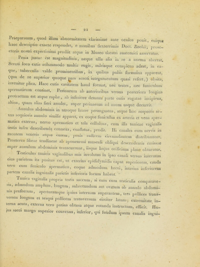 Praeparatum, quod illam abnormitatem clarissime ante oculos ponit, cuique haec descriptio exacte respondet, e inanibus dexterrimis Doct. Bockii, prose- etons nostri expertissimi prodiit atque in Museo theatri anatomici asservatur. , ^ems Justac cst magnitudinis, neque ulla alia in re a norma aberrat* Scroti loco cutis solummodo multis rugis, sulcisque conspicua adest, in ea- qiu., tubei culis a alde prominentibus , iu quibus pubis foramina apparent, (<{na de re superior quoque jaars scroti integumentum quasi refert,) obsita, i ivemtui plica. Jlacc cutis cavitatem haud format, nec testes, nec funiculum : pci maticum continet* 1 erinaeum ab anterioribus versus posteriora longius pioti actum est atque i aphe, ab inferiore demum parte cutis rugatae incipiens, altius, quam abas fieii assolet, super periuaeum ad anum usque decurrit. Annulus abdominis in utroque latere perangustus, atque hoc respectu se- xus sequioris amiuio similis apparet, ex coque funiculus ex arteria et vena sper- extd na, neno spei madeo et tela cellulosa, cum illa tunicae vaginalis infra describenda connexa, conflatus, prodit. Ifi canales cum nervis in montem veneris^ atque cutem, pems radicem circumdantem distribuuntur. Praeterea librae tendineae ab aponeurosi musculi obliqui descendentis emissae super ammlum abdominis transcurrunt, iisque hujus orificium plane obturatur. Testiculus tunicis vaginalibus suis involutus in ipso canali versus internum eius parietem ita positus est, ut exterius epididymidis caput superiorem, cauda funiculo speimatico, coque admodum brevi, interius inferiorem partem canalis inguinalis parietis inferioris locum habeat. Tunica vaginalis propria testis saccum, si eum cum testiculis comparave- ris, admodum amplum, longum, subrotundum aut ovatum ab annulo abdomi- nis profectum, aperluramque ipsius internam superantem, tres pollices trans- versos longum et sesqui pollicem transversum circiter latum, extremitate in- terna acuta, externa vero potius obtusa atque rotunda instructum, efficit. Hu- jus sacci margo superior convexus, inferior, qui fundum ipsum canalis ingui-