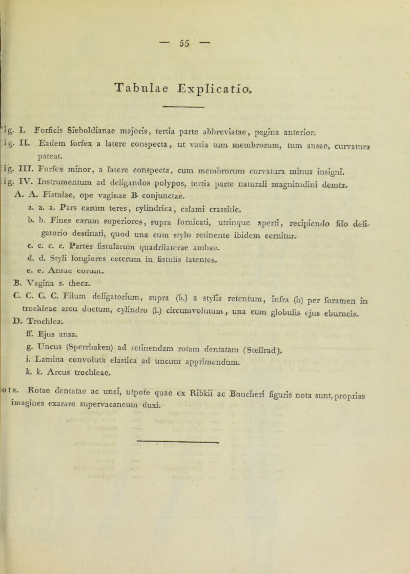 Tabulae Explicatio* ig. I. Forficis Sfeboldianae majoris, tertia parte abbreviatae, pagina anterior, ig. FL Eadem forfex a latere conspecta, ut varia tum membrorum, tum ansae, curvatura pateat. *§• IU* lorfex minor, a Fatere conspecta, cum membrorum curvatura minus insigni. i §• Instrumentum aci deligandos polypos, tertia parte naturali magnitudini demta. A. A. Fistulae, ope vaginae 35- conjunctae. a. a. a. Pars earum teres, cylindrica, calami crassitie. b. b. Fines earum superiores, supra fornicati, utrinque aperti, recipiendo filo deli- gatorio destinati, quod una cum stylo retinente ibidem cernitur. c. c. c. c. Partes fistularum quadrilaterae ambae. d. d. Styli longiores ceterum in fistulis latentes, e. e. Ansae eorum, B. Vagina s. theca. C. C. G. C. Filum dehgatorium, supra (b.) a stylis retentum, infra (h) per foramen in trochleae arcu ductum, cylindro (1.) circumvolutum , una cum globulis ejus eburneis. D. Trochlea. ff. Ejus ansa. g. Uncus (Sperrhaken) ad retinendam rotam dentatam (Stellrad). i. Eamina convoluta elasdca ad uncum apprimendum. Ic. k. Arcus trochleae. ot a. Rotae dentatae ac unet, utpote quae ex RtbHi ac Boucheri figuris nota sunt, proprias imagines exarare supervacaneum duxi.