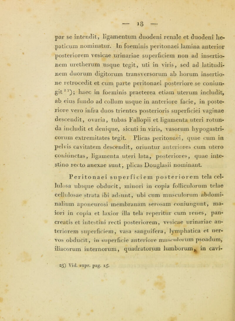 par se intendit, ligamentum duodeni renale et duodeni he- paticum nominatur. In foeminis peritonaei lamina anterior posteriorem vesicae urinariae superficiem non ad insertio- nem uretherum usque tegit, uti in viris, sed ad latitudi- nem duorum digitorum transversorum ab horum insertio- ne retrocedit et cum parte peritonaei posteriore se coniun- git2 *); haec in foeminis praeterea etiam uterum includit, ab eius fundo ad collum usque in anteriore facie, in poste- riore vero infra duos trientes posterioris superficiei vaginae descendit, ovaria, tubas Fallopii et ligamenta uteri rotun- da includit et denique, sicuti in viris, vasorum hypogastri- eorum extremitates tegit. Plicas peritonaei , quae cum in pelvis cavitatem descendit, oriuntur anteriores cum utero coniunctas, ligamenta uteri lata, posteriores, quae inte- stino recto anexae sunt, plicas Douglasii nominant. Peritonaei superficiem posteriorem tela cel- lulosa ubique obducit, minori in copia folliculorum telae cellulosae strata ibi adsunt, ubi cum musculorum abdomi- nalium aponeurosi membranam serosam eoniungunt, ma- iori in copia et laxior illa tela reperitur cum renes, pan- creatis et intestini recti posteriorem, vesicae urinariae an- teriorem superficiem, vasa sanguifera, lymphatica et ner- vos obducit, in superficie anteriore musculorum psoadum, iliacorum internorum, quadratorum lumborum, in cavi- 25) Vid. supr. pag. 15.